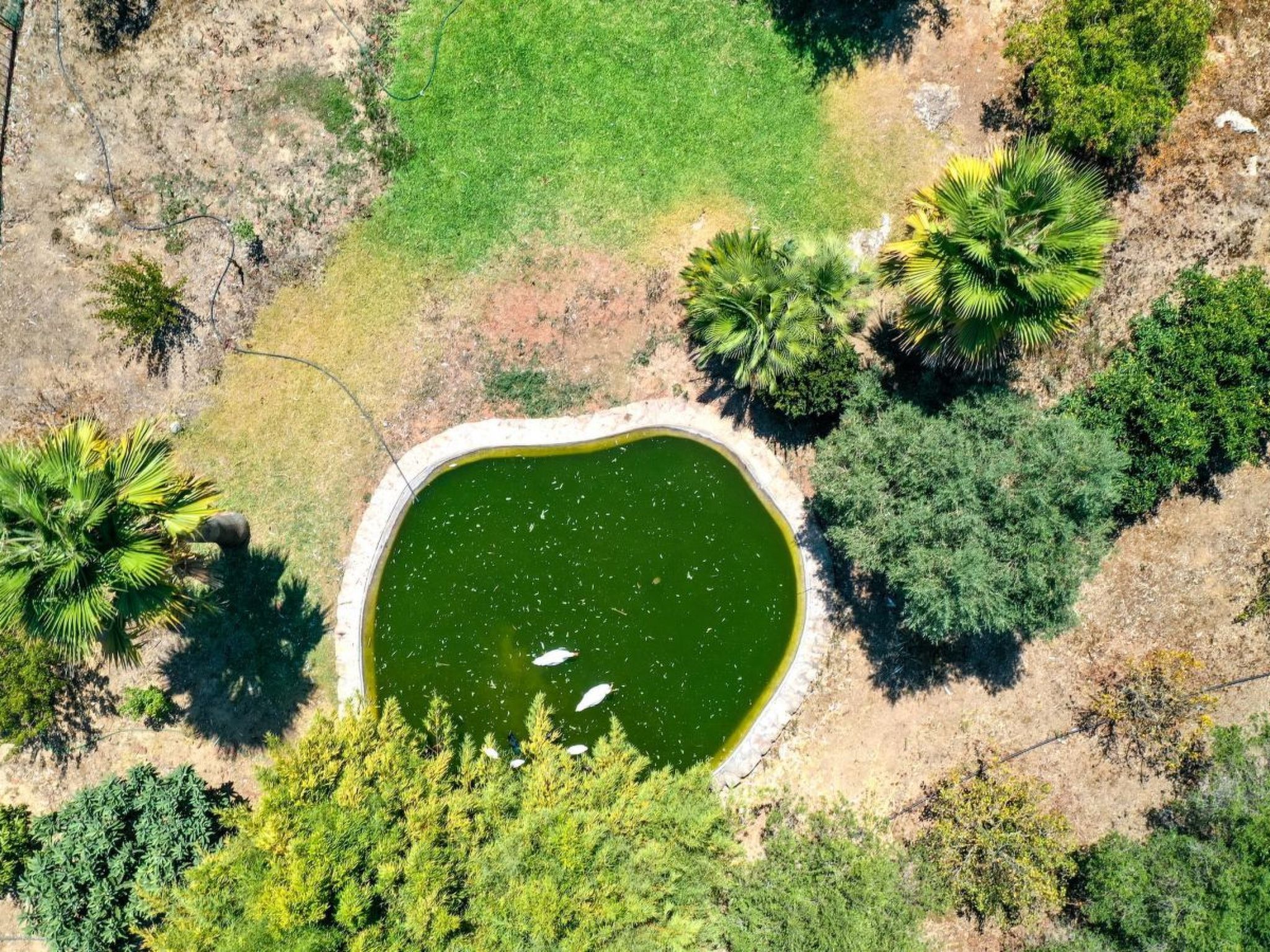 Prächtiges Landhaus mit spektakulärer Aussicht-Binnen