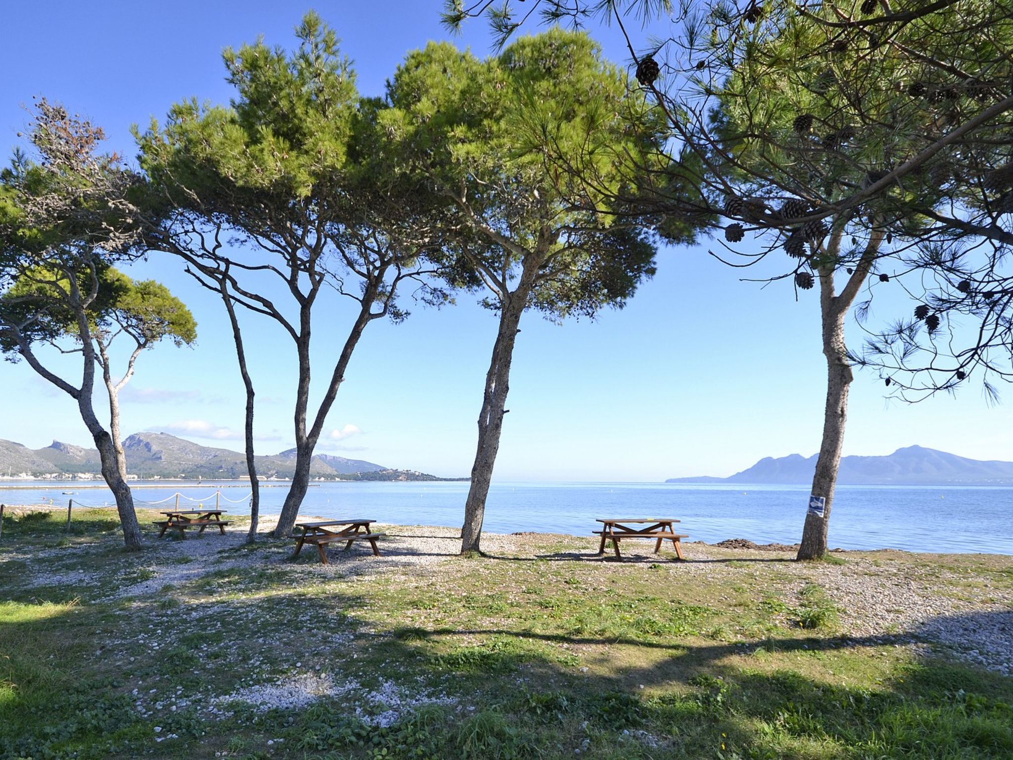 Photo of Llenaire - Xata