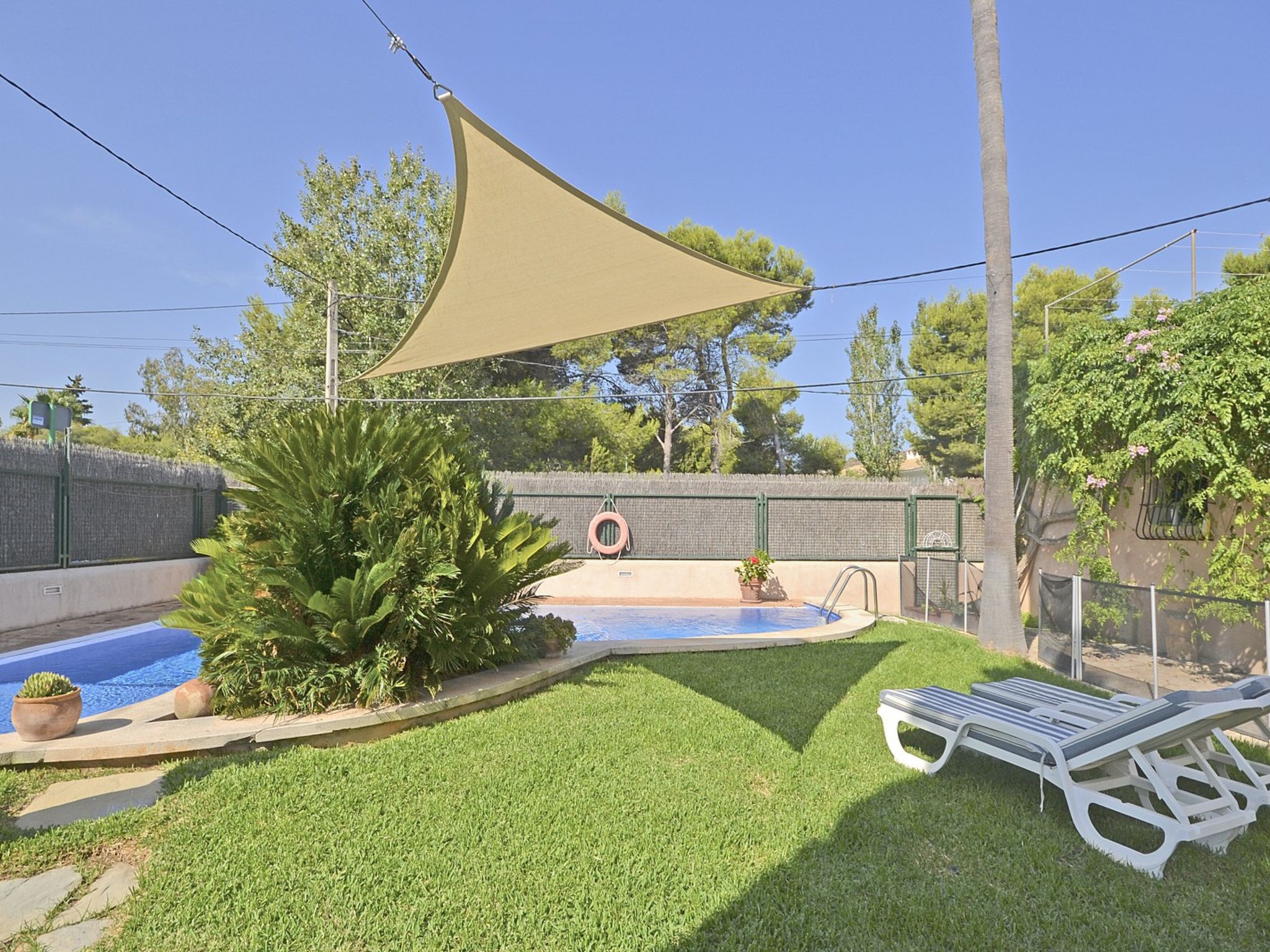 Photo of Llenaire - Xata