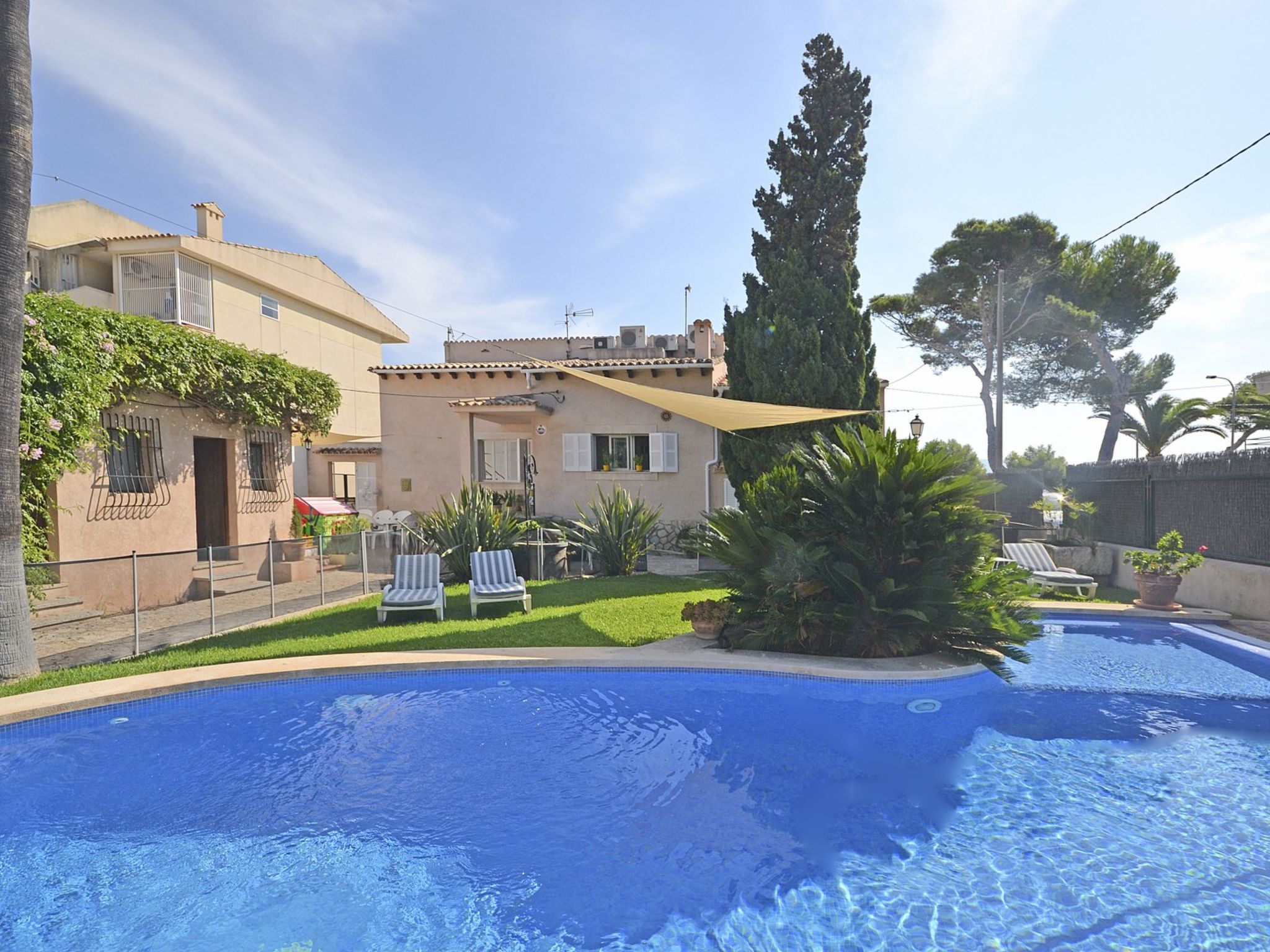 Photo of Llenaire - Xata