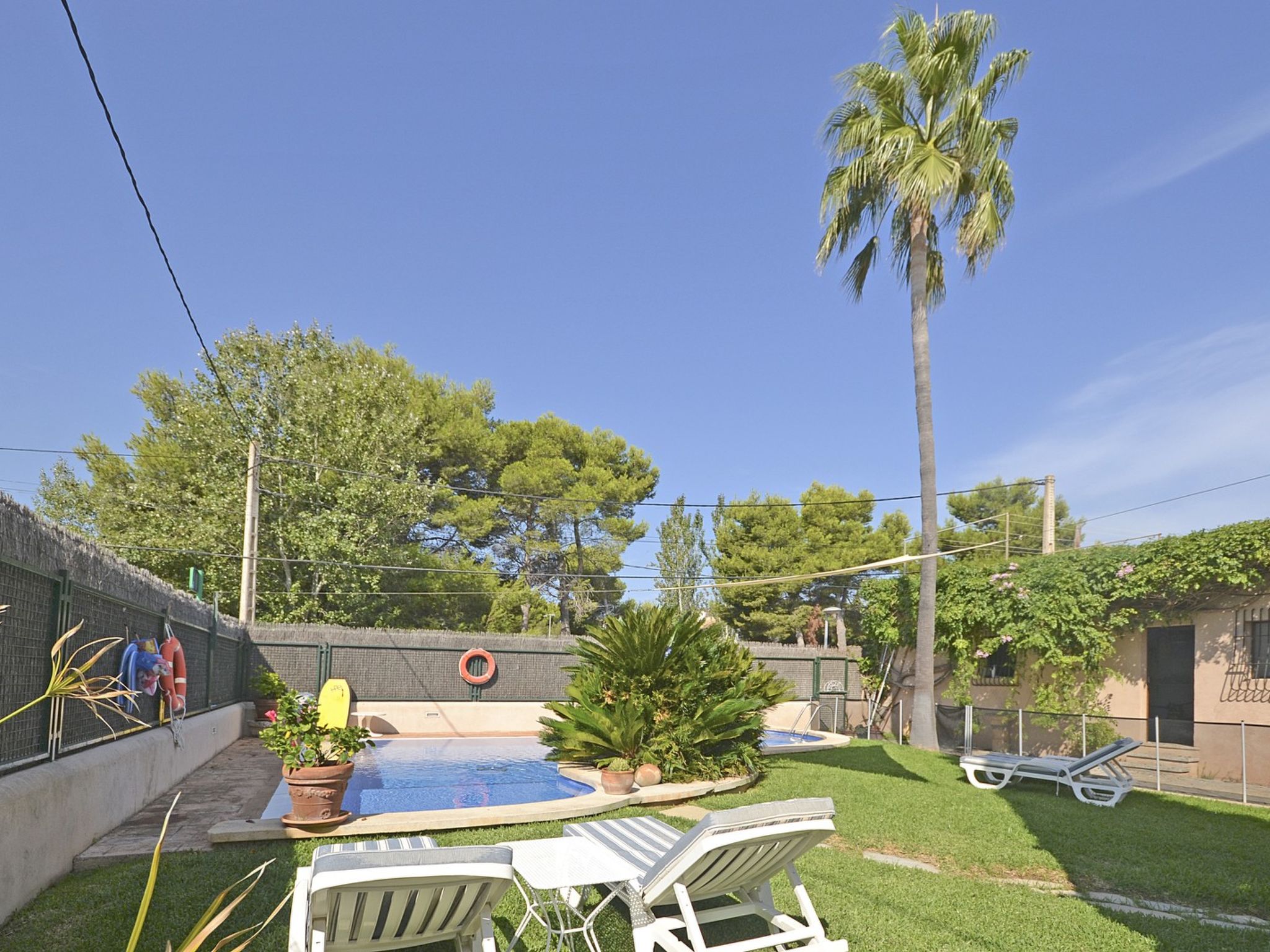 Photo of Llenaire - Xata