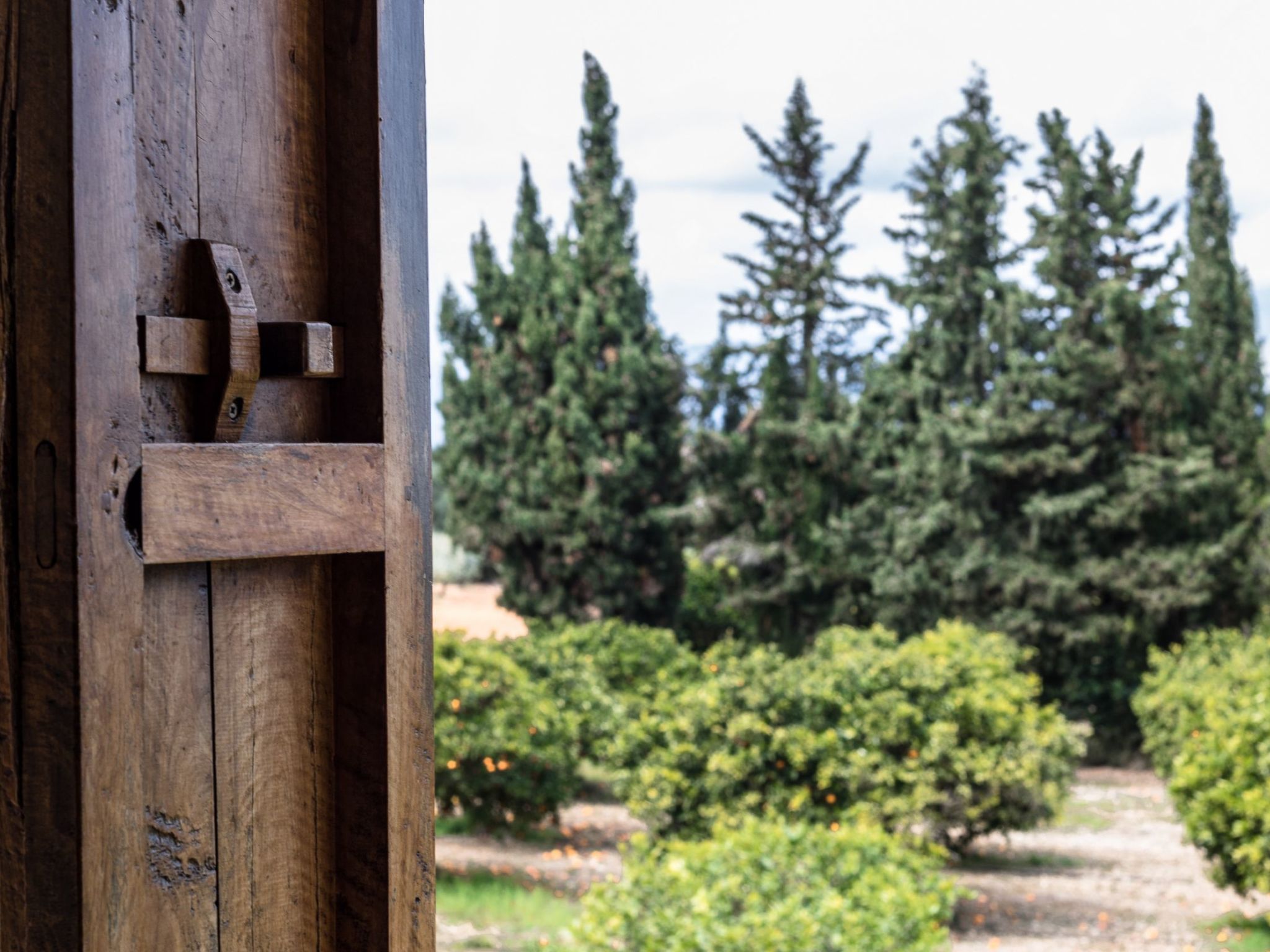 Finca 'Son Cladera in Muro'-Image-tags.info