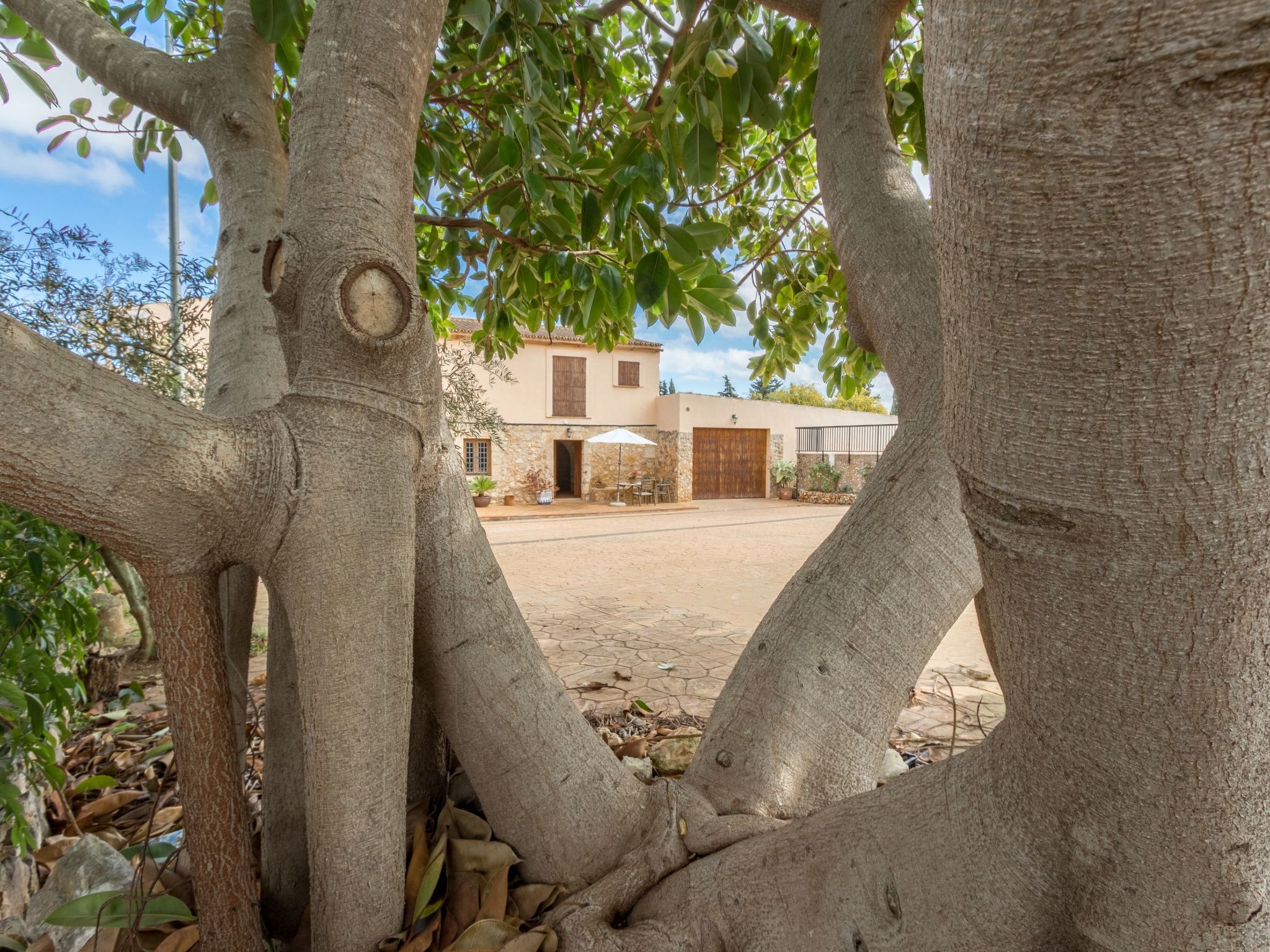 Finca 'Son Cladera in Muro'-Image-tags.info