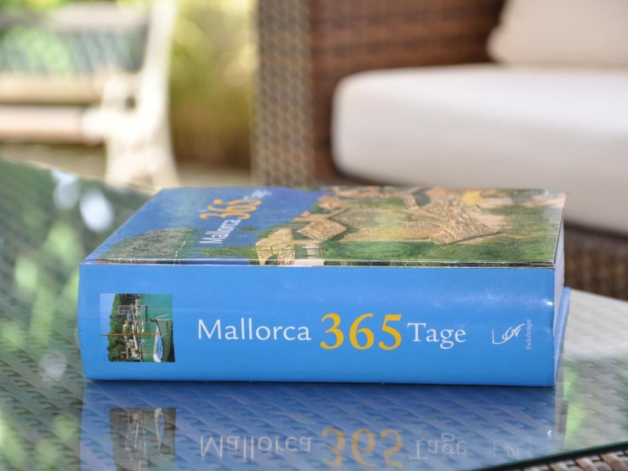 Charmantes Ferienhaus mit großer Terrasse-Binnen