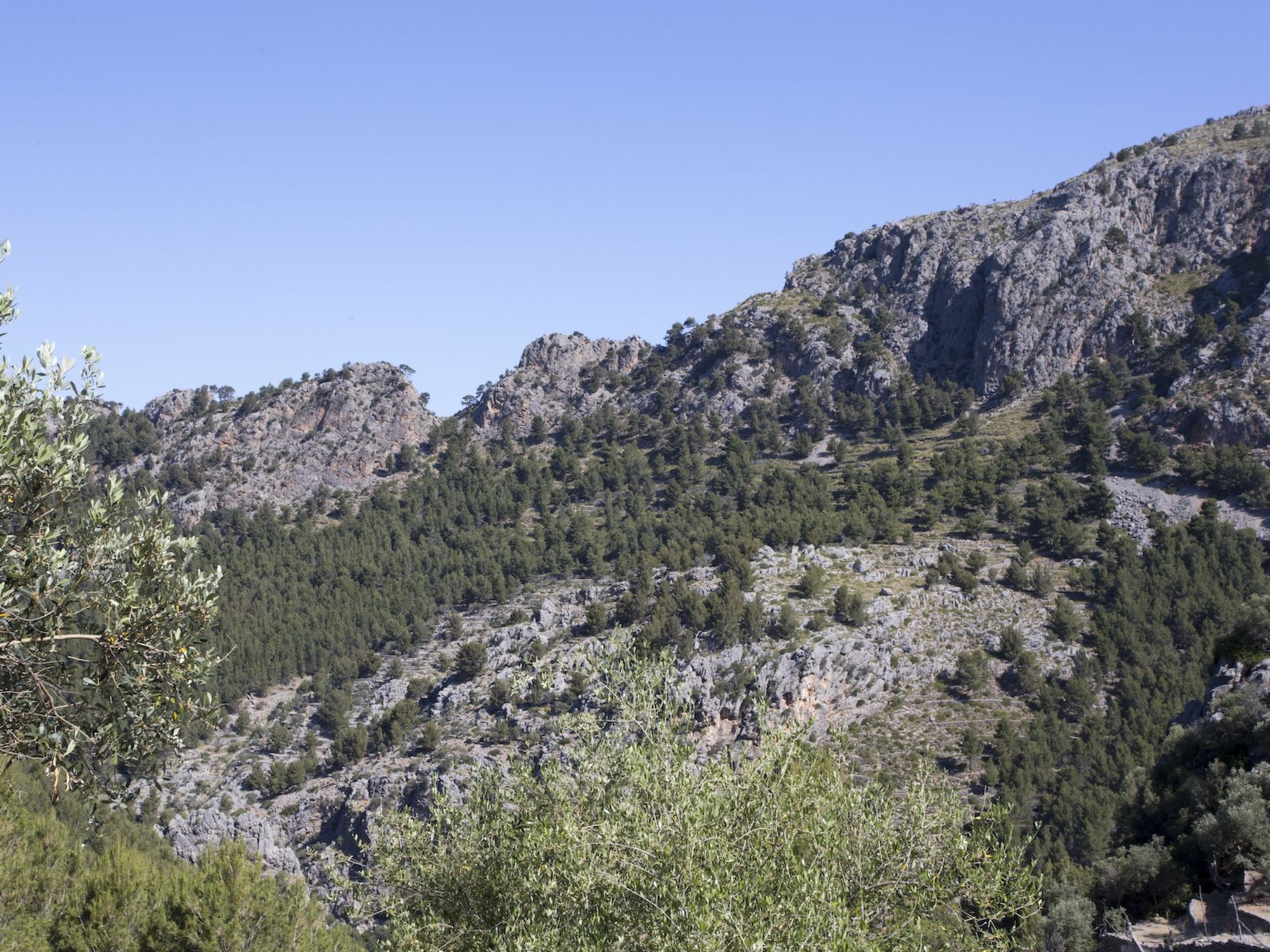 Sfeervolle villa aan de golfbaan met weids uitzicht op de bergen van Sóller - foto 26