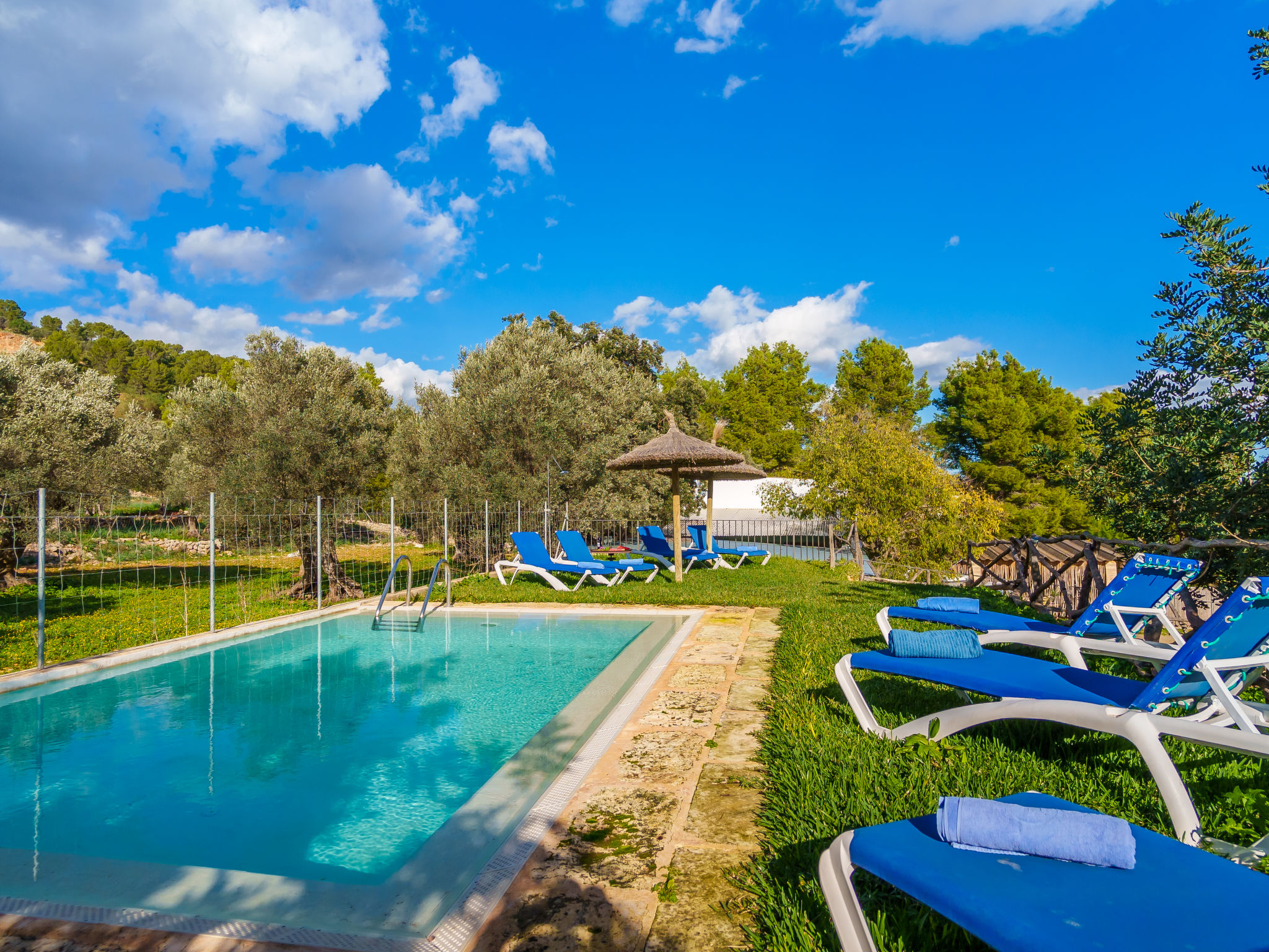 Sa Serra — Pool Outdoor (1 of 33)