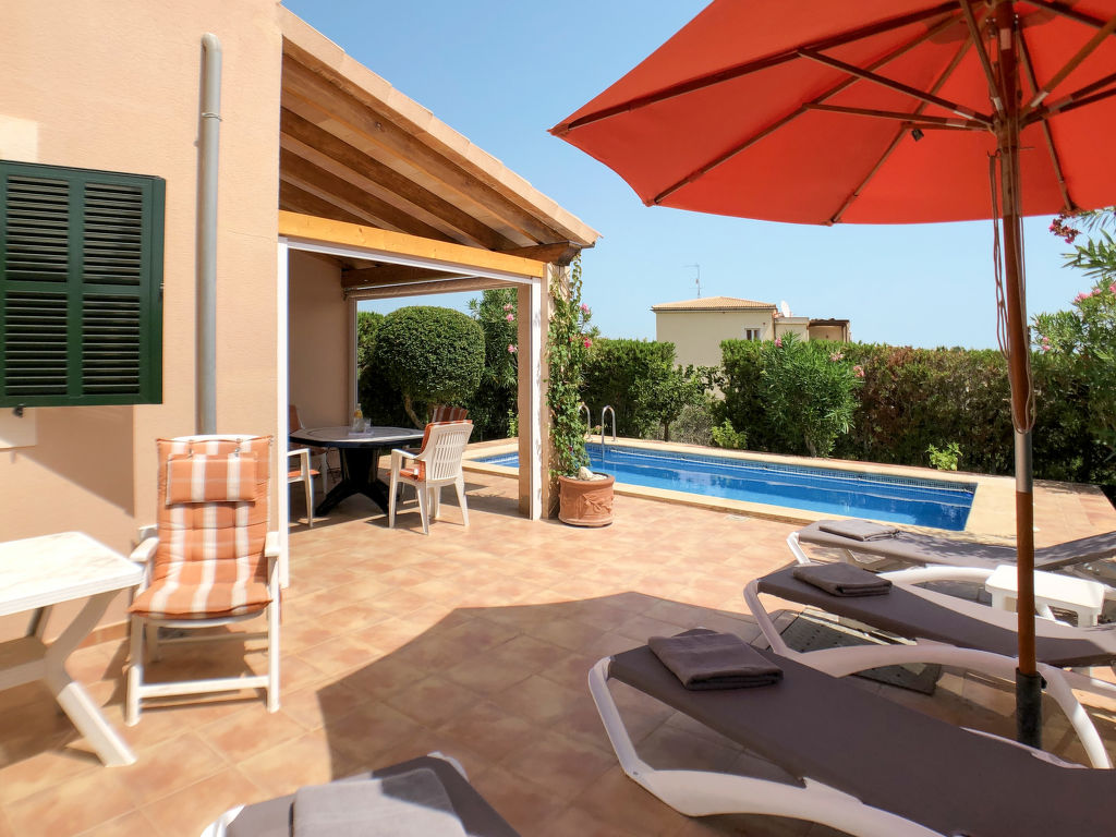 Schnuffi — Terrace