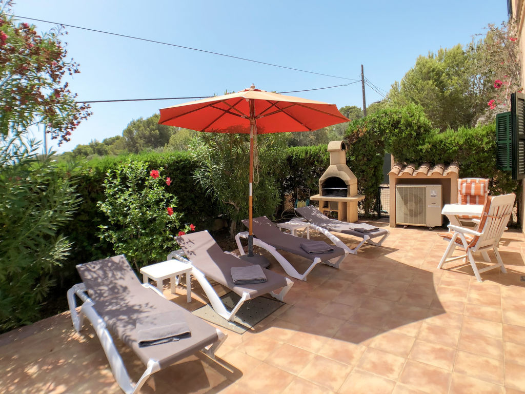 Schnuffi — Terrace
