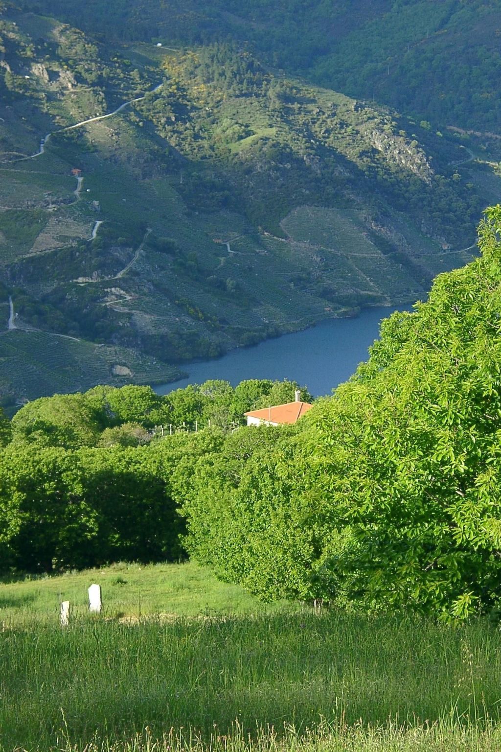 Mit Privatpool-Image-tags.info