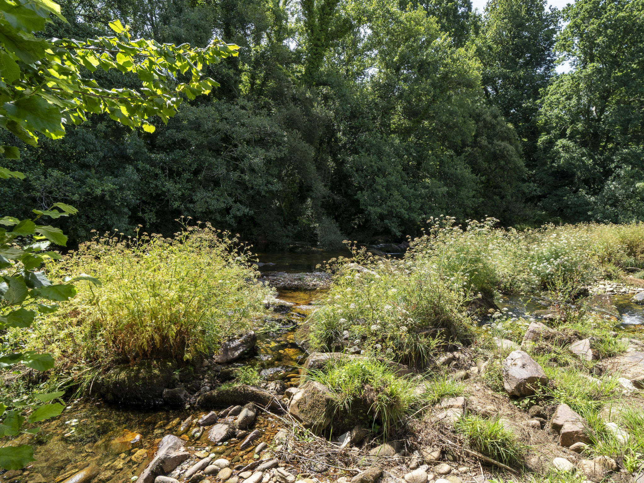 Rio Tambre - Buiten