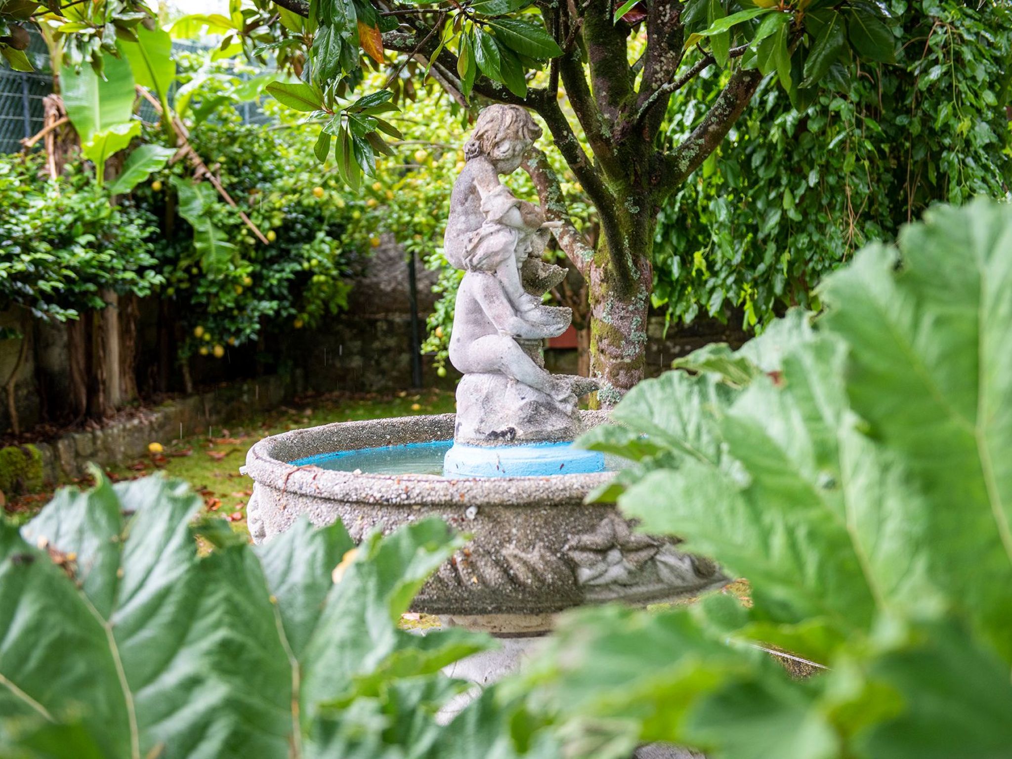 Villa "Casa dos Pazos" mit privatem Pool — House (5 of 18)