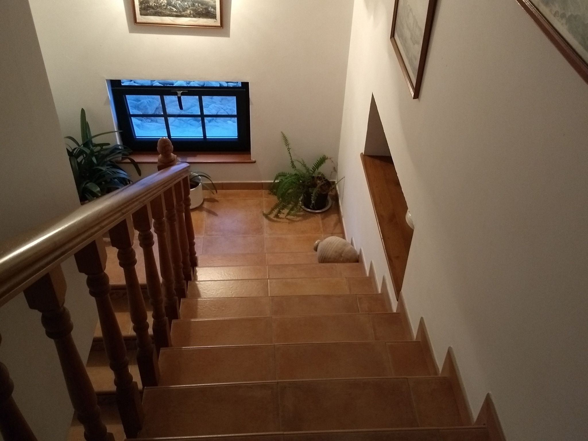 Almacen Wohnung-Image-tags.info