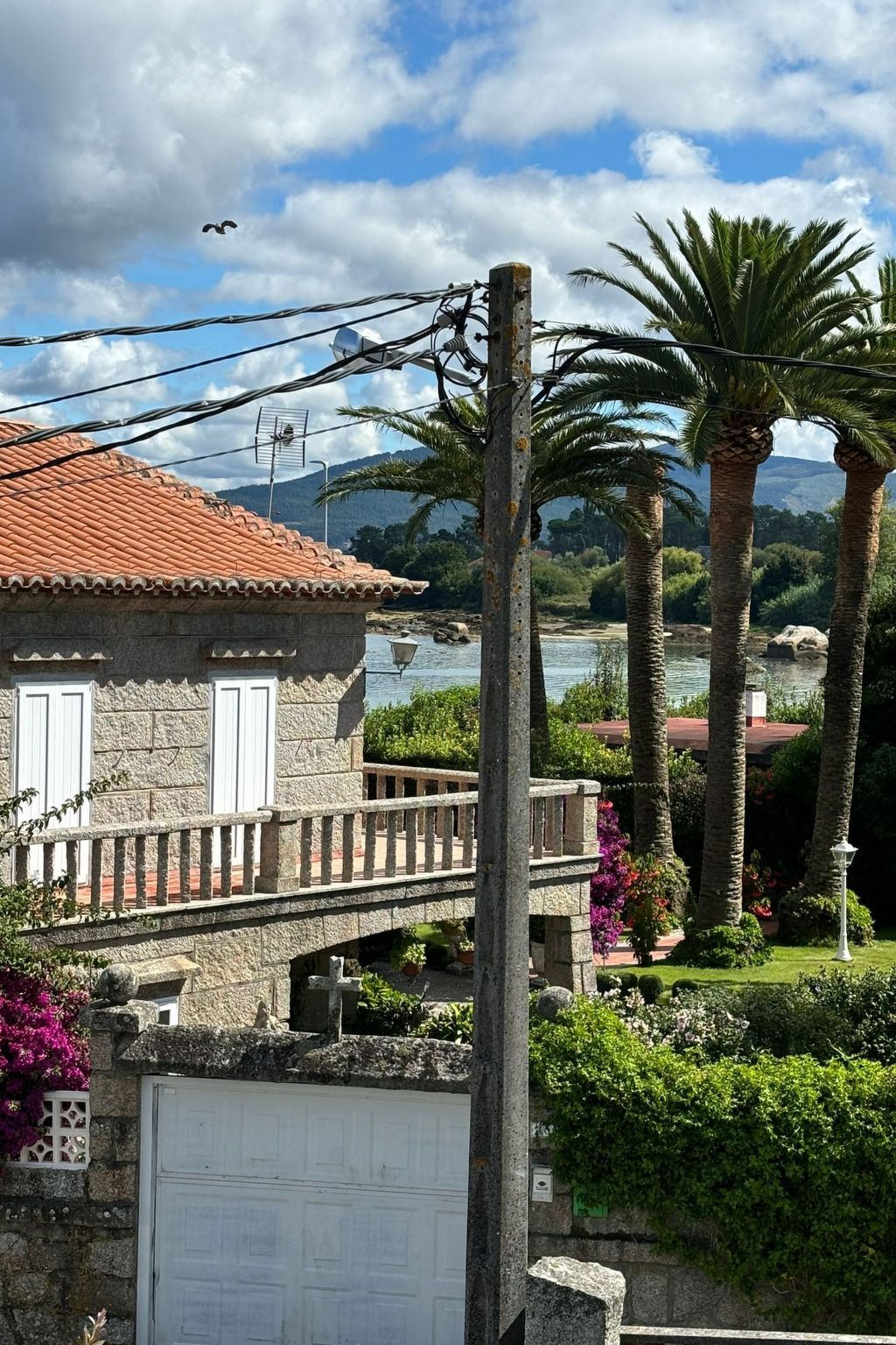 "Atlantik"-Image-tags.info