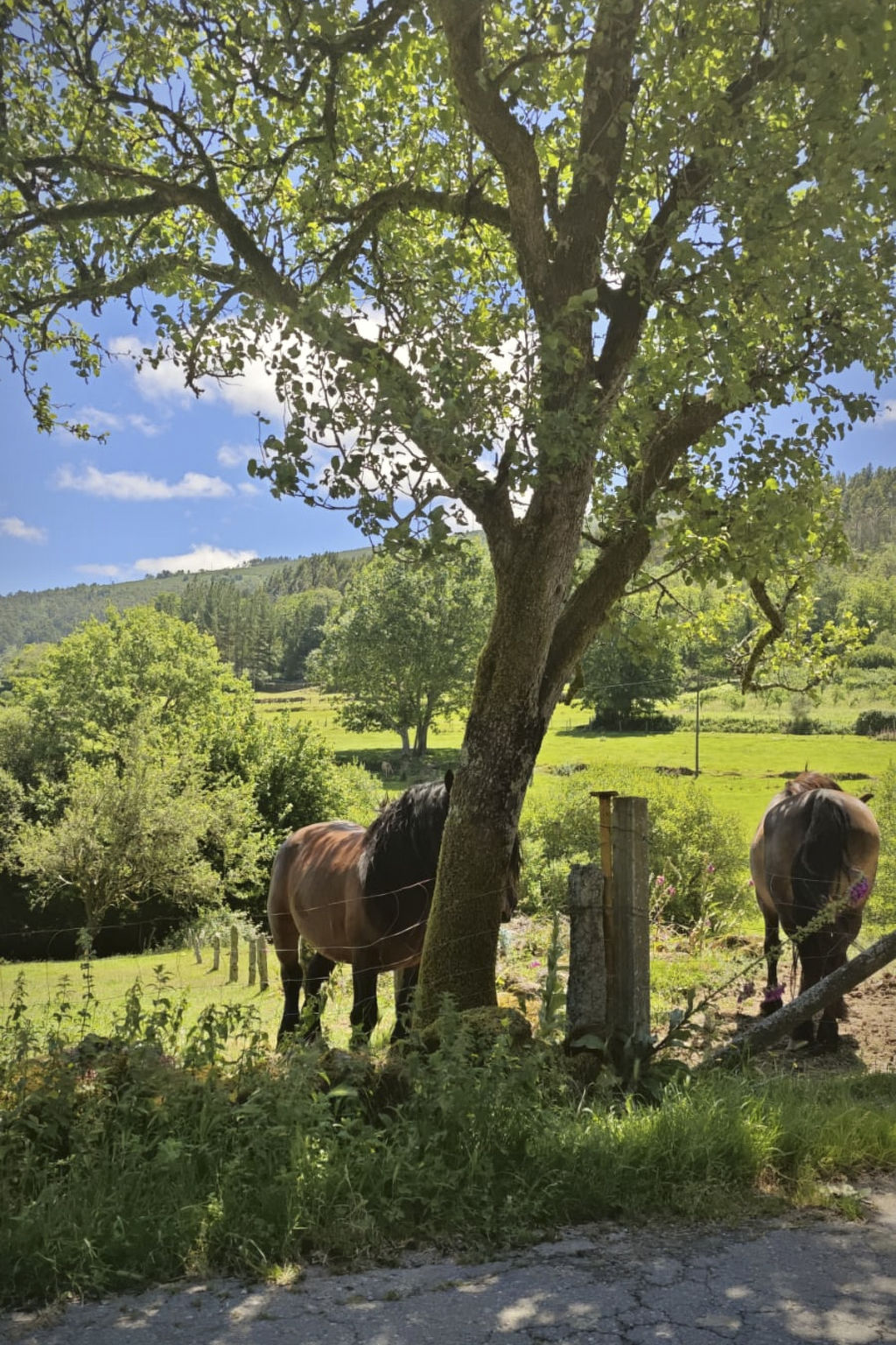 "Galicia Retreat-Binnen