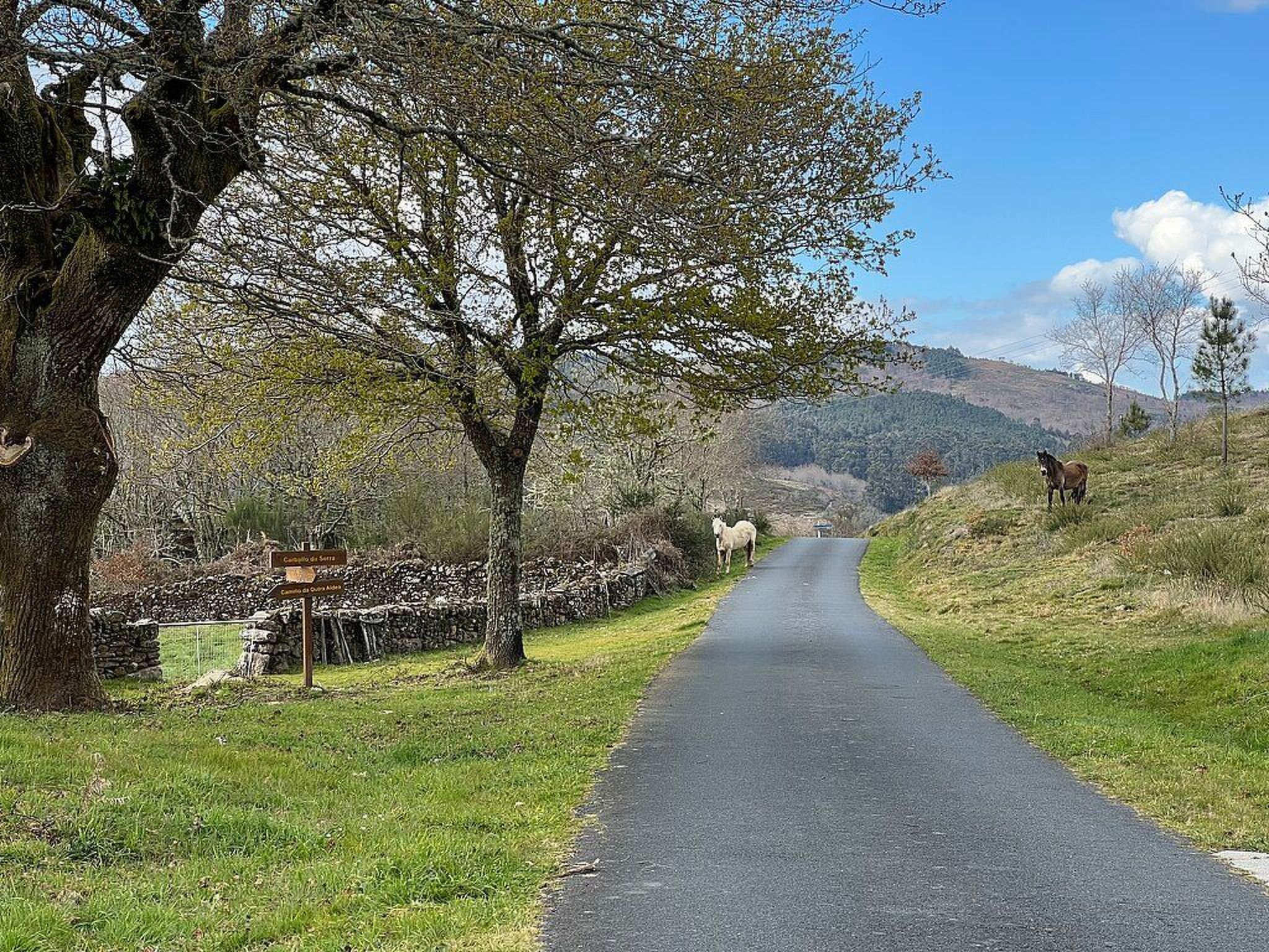 "Galicia Retreat-Binnen