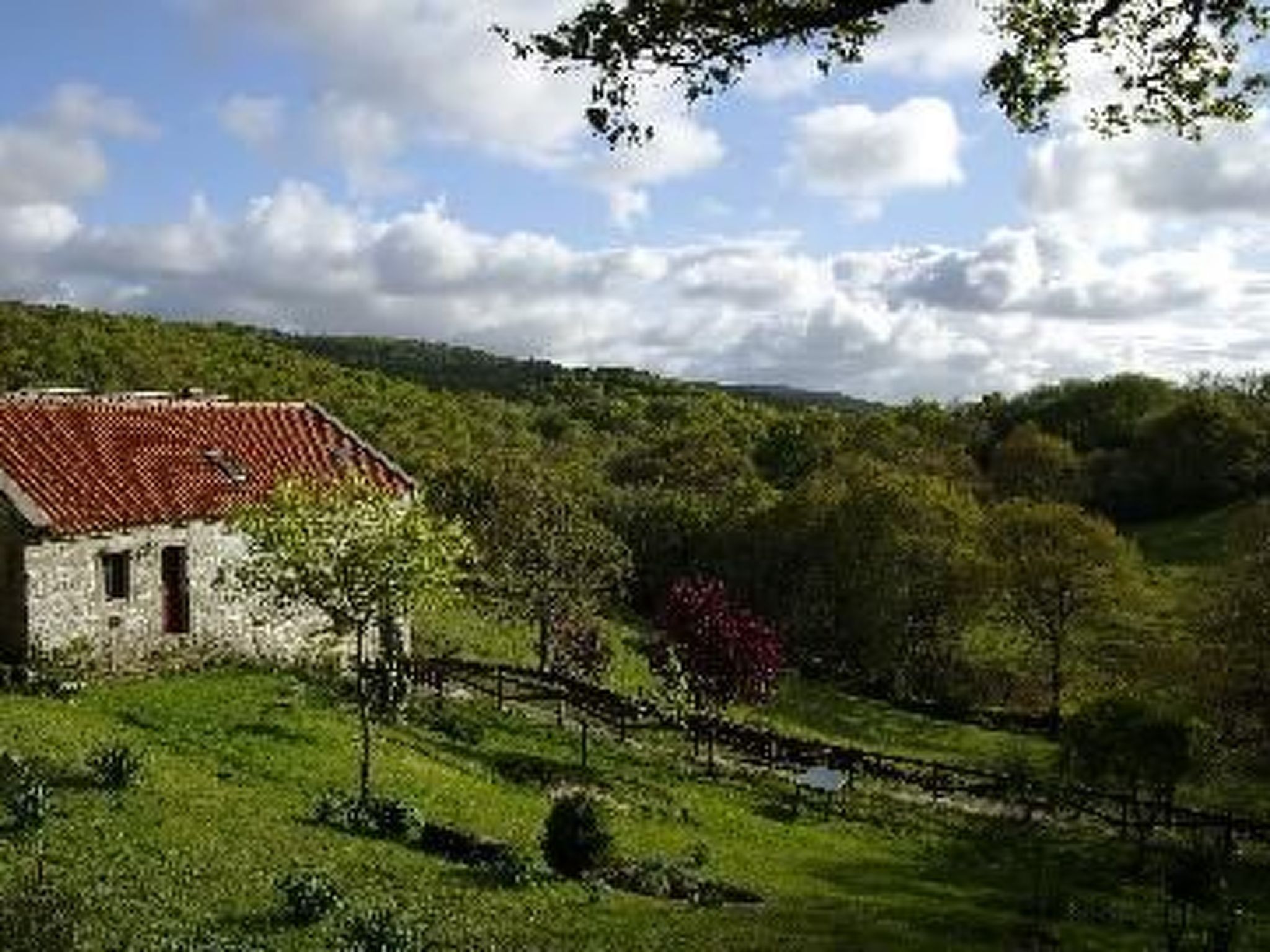 Finca "Casa do Portomartiño"