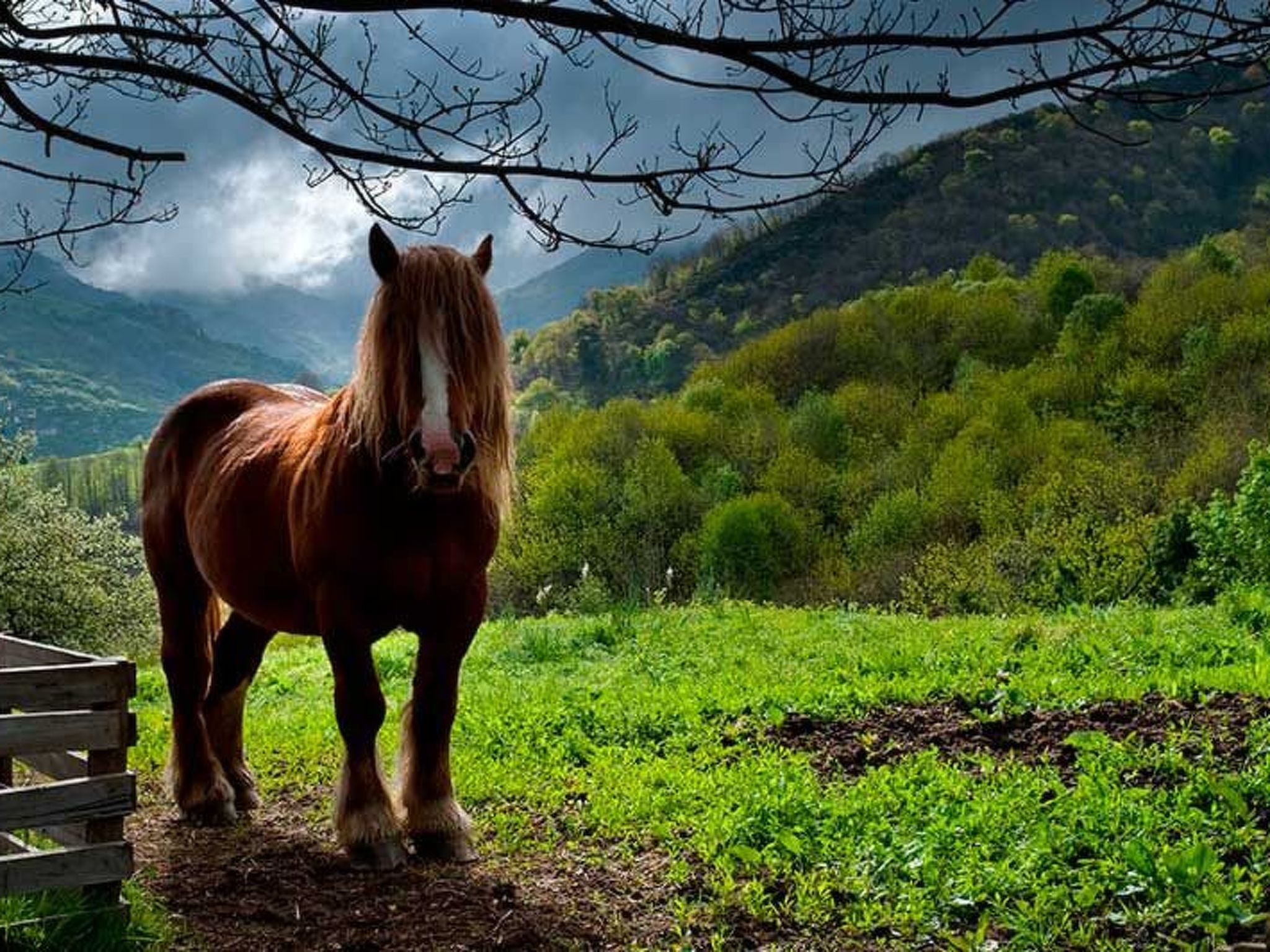 Berghütte mit Terrasse, Kamin und Jacuzzi-Binnen