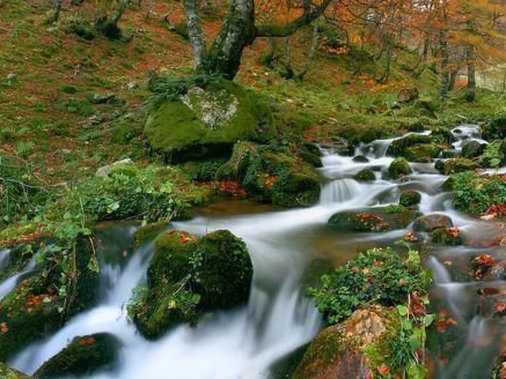 Ländliches Haus La Carrozal Senda del Oso-Binnen