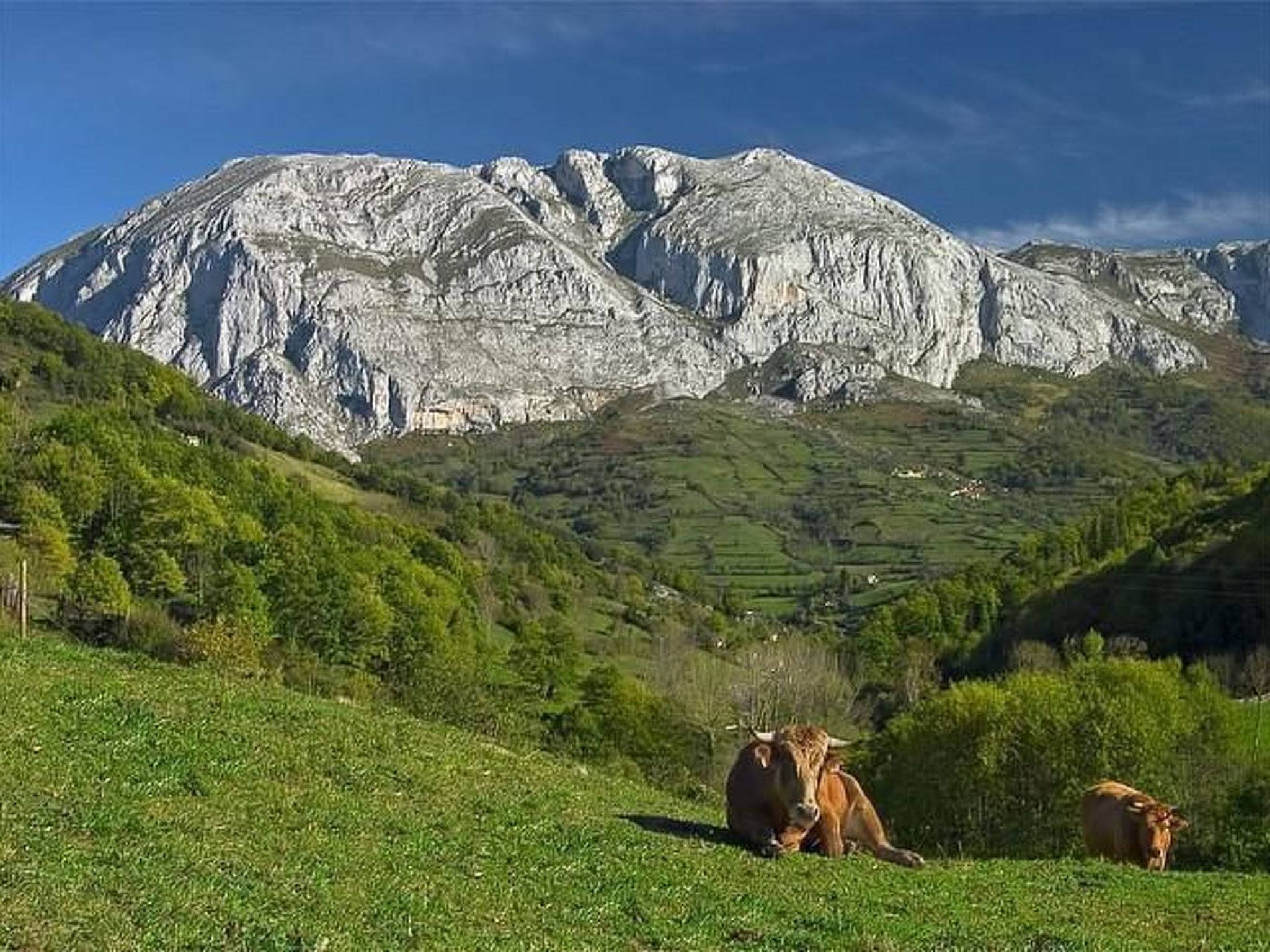 Ländliches Haus La Carrozal Senda del Oso-Binnen
