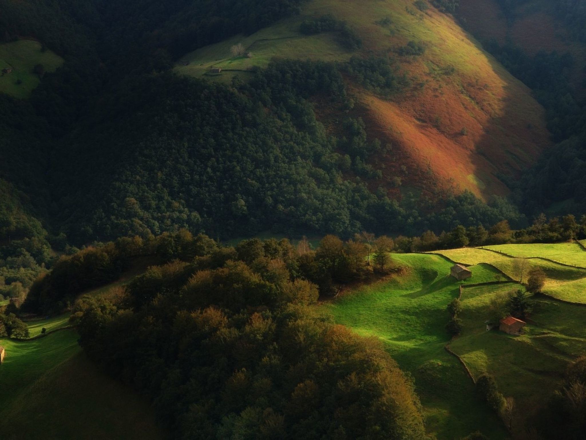 Fachwerkhaus mit Garten