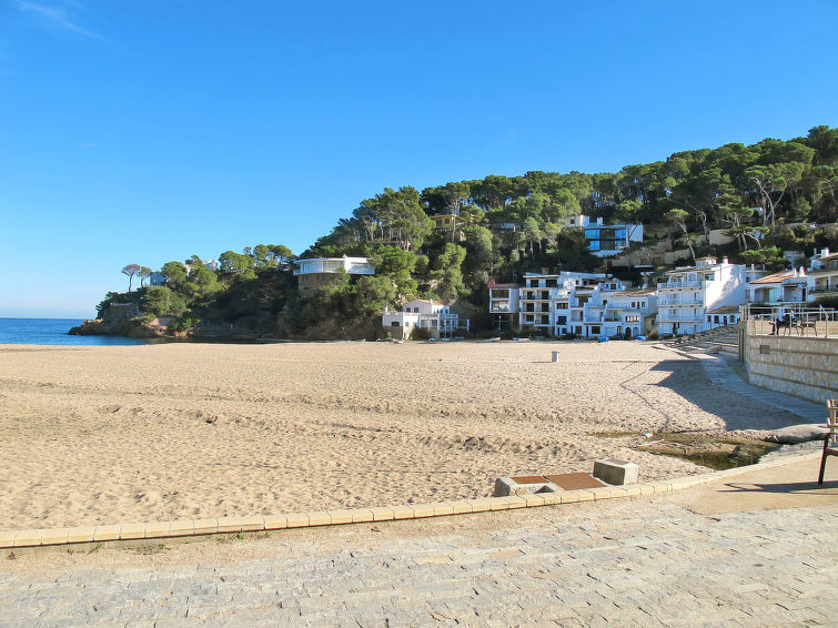 Photo of S'Olivera Nº6