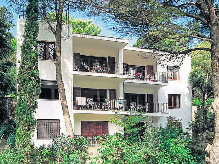 Photo of S'Olivera Nº6