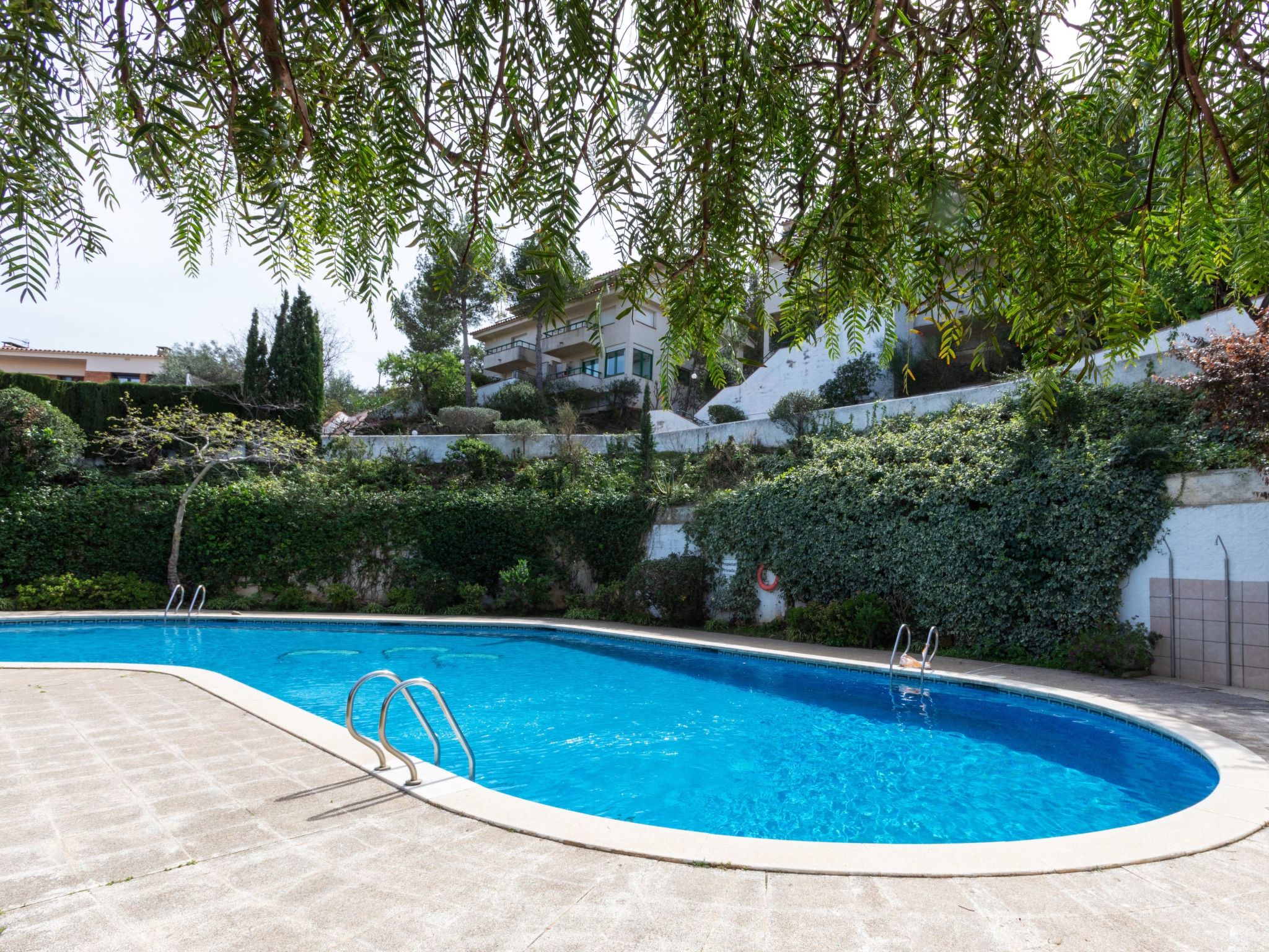 Photo of Mediterrani