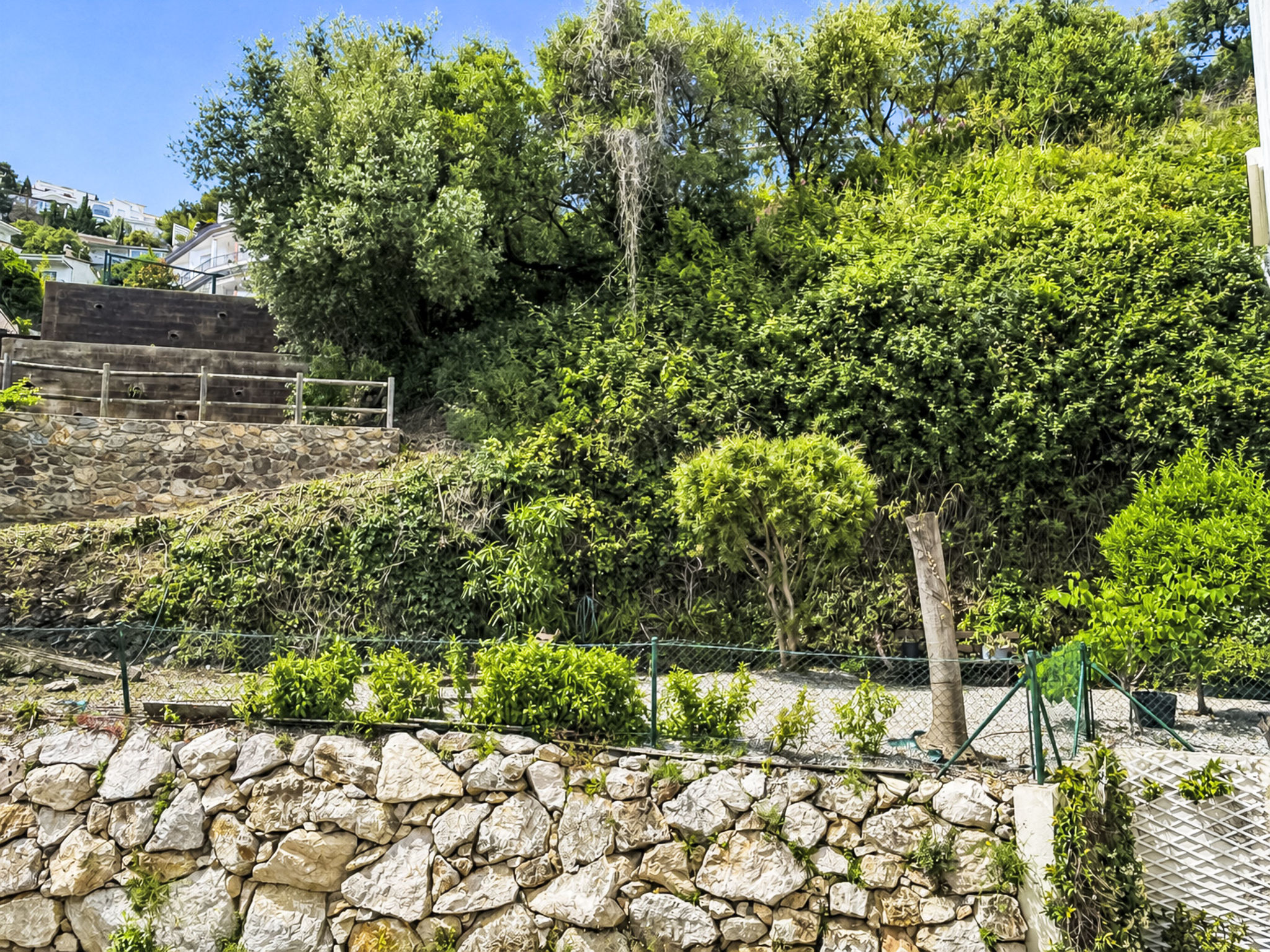 Photo of El Jardinet
