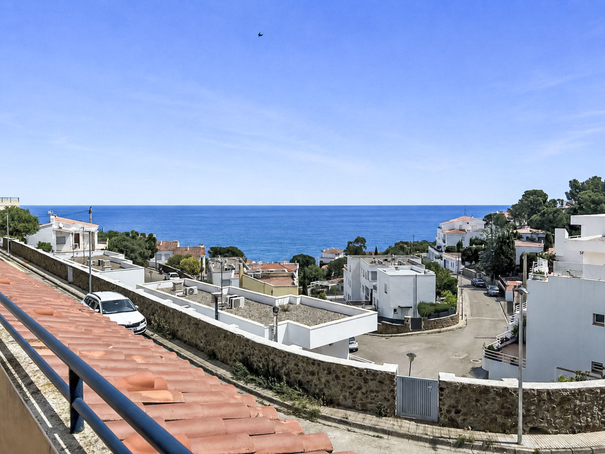Photo of El Jardinet