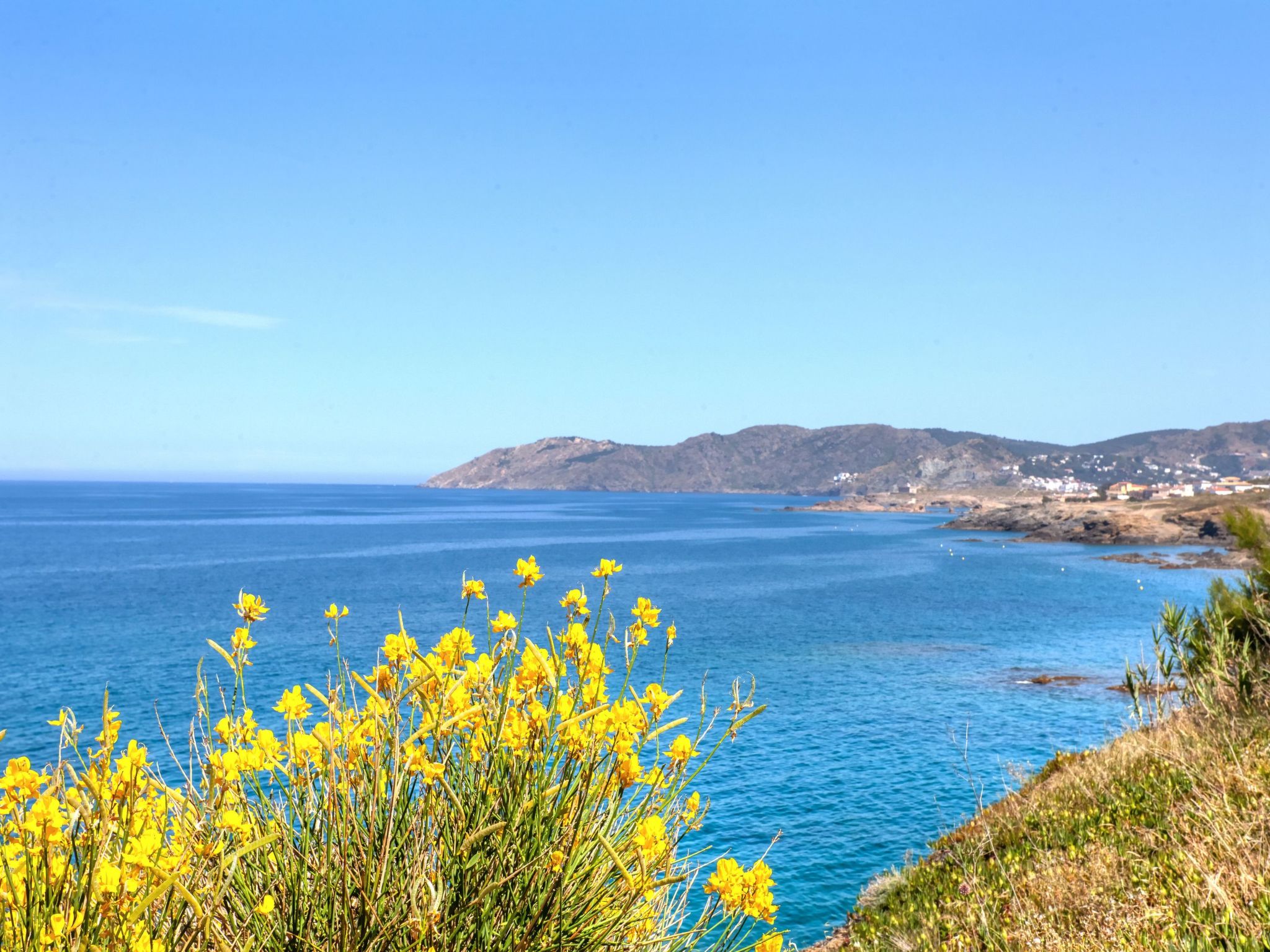 Photo of Don Quijote