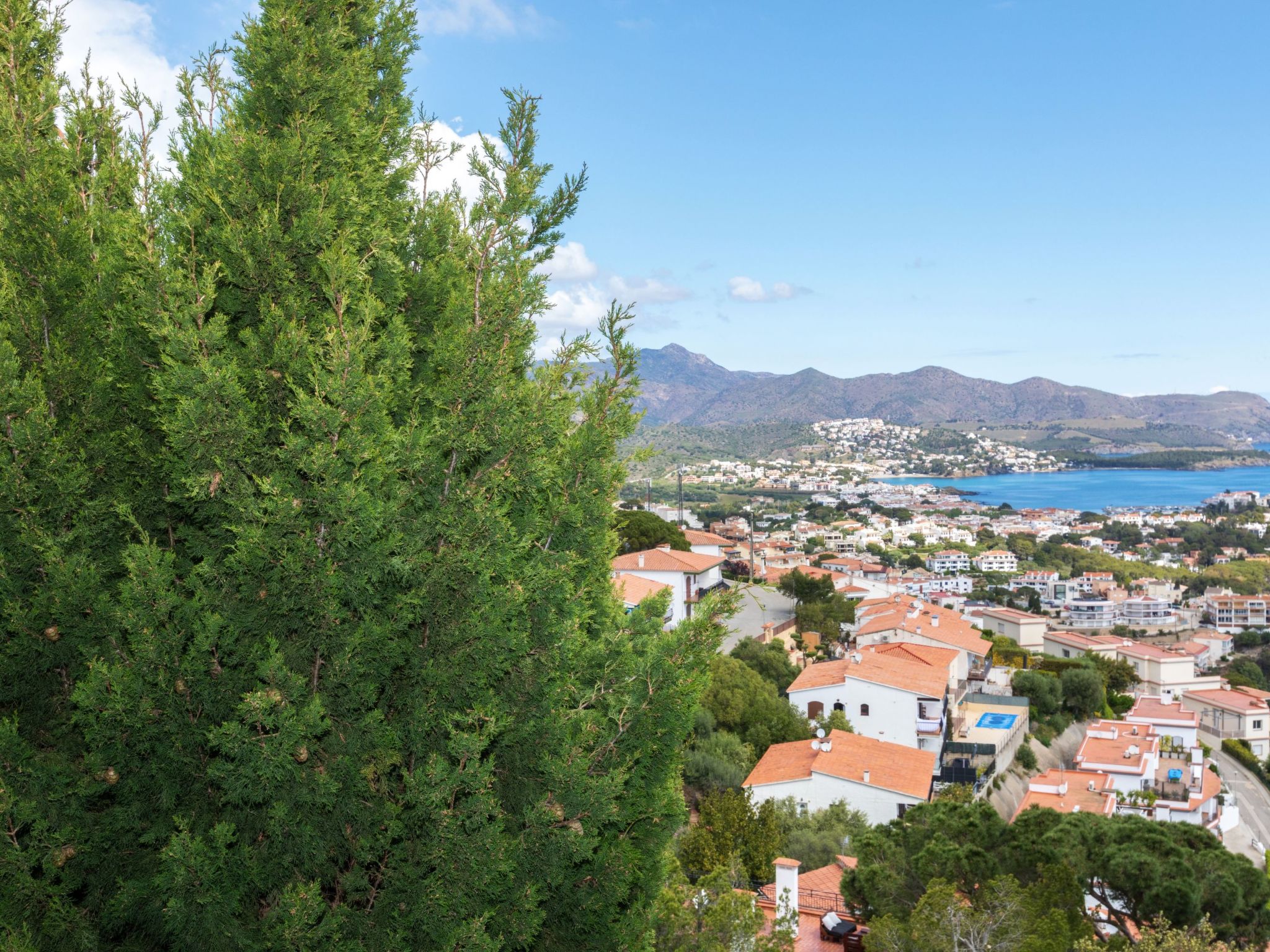 Photo of Gaviotas d'Amunt