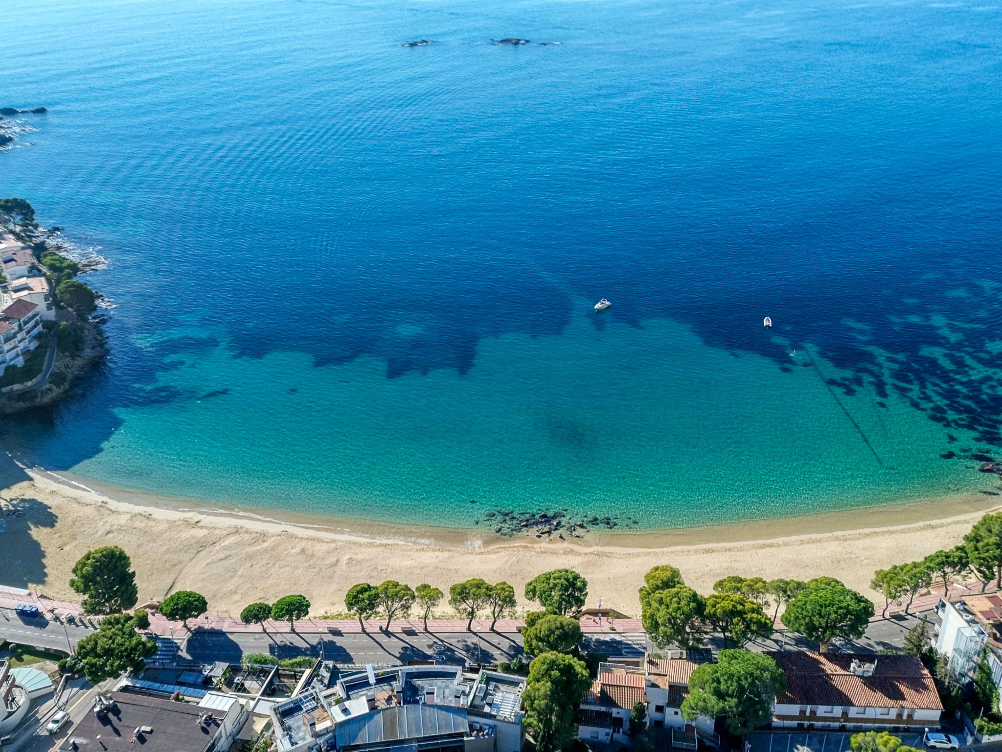 Photo of Los Geranios