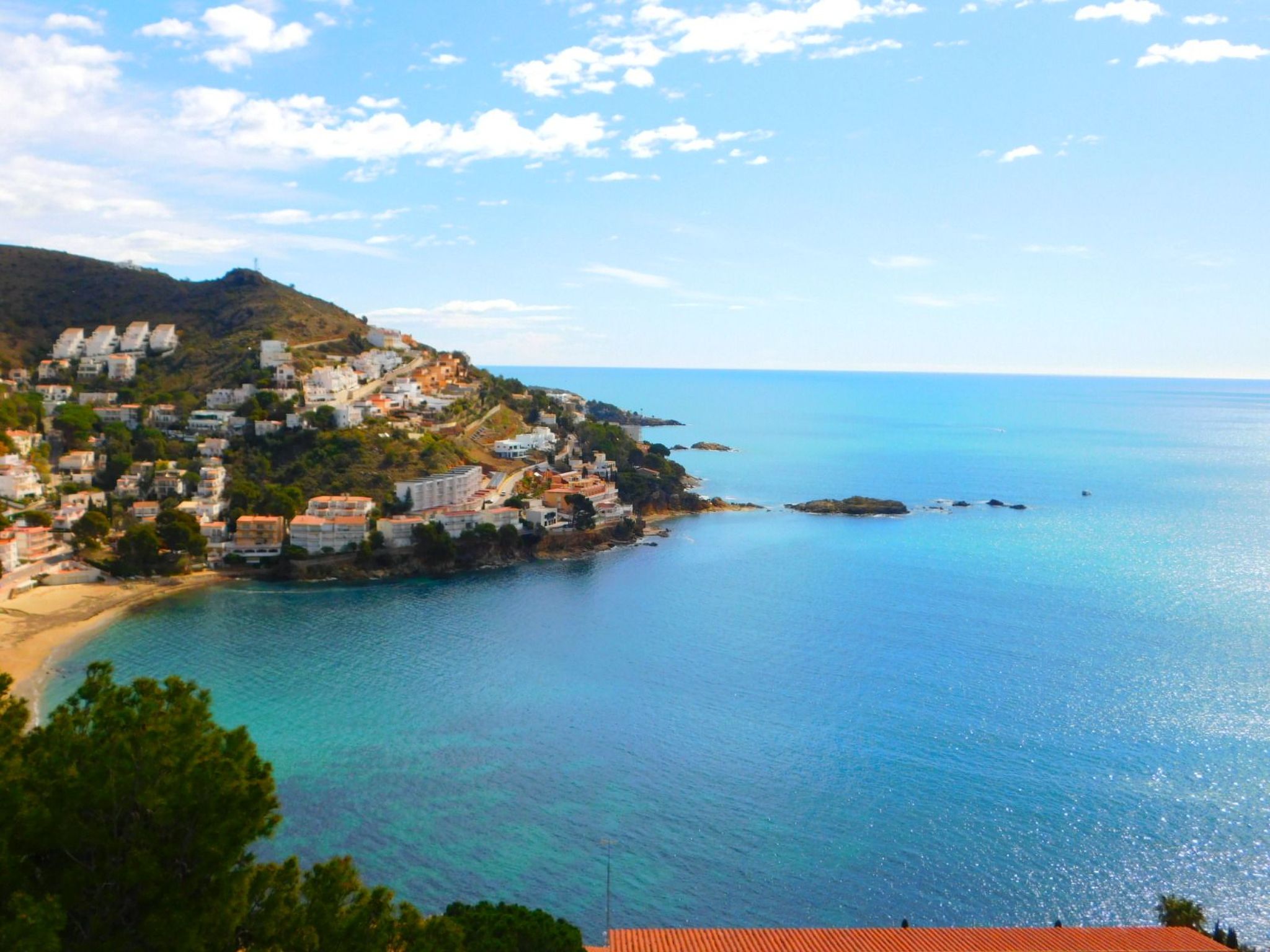 Photo of A-239 Ferienwohnung, Meerblick, Roses