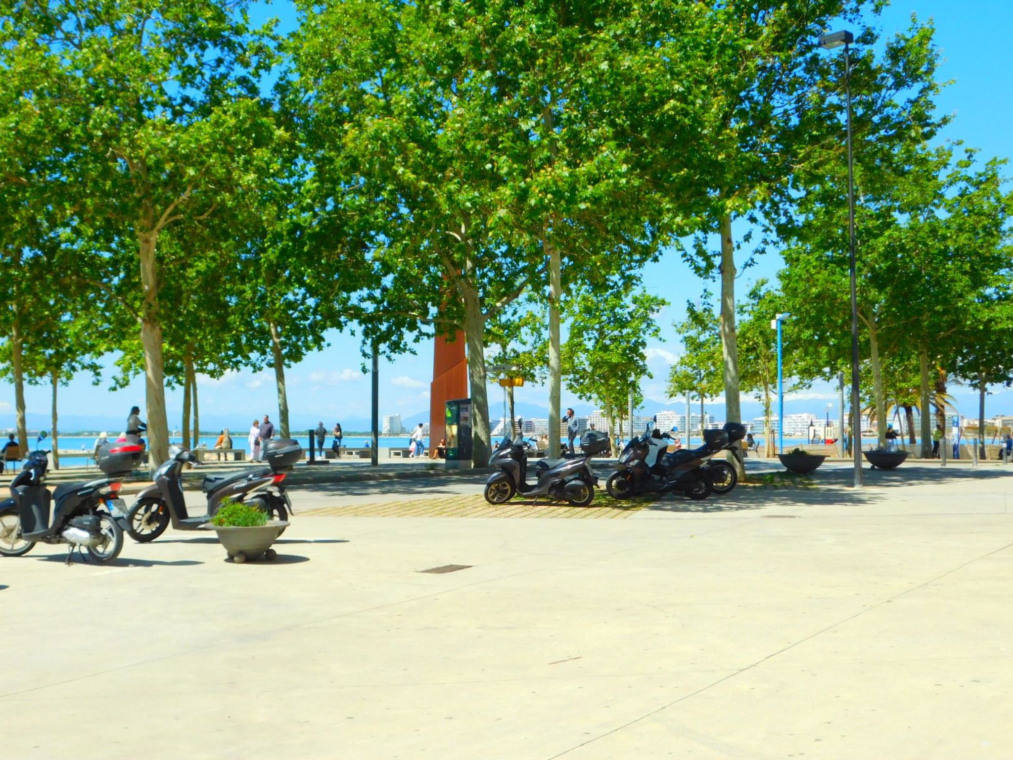 Photo of A-241 Saisonale Vermietung Studio Roses