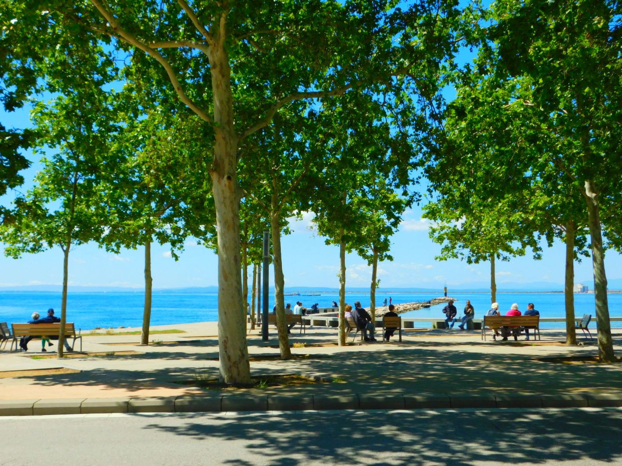 Photo of A-241 Saisonale Vermietung Studio Roses