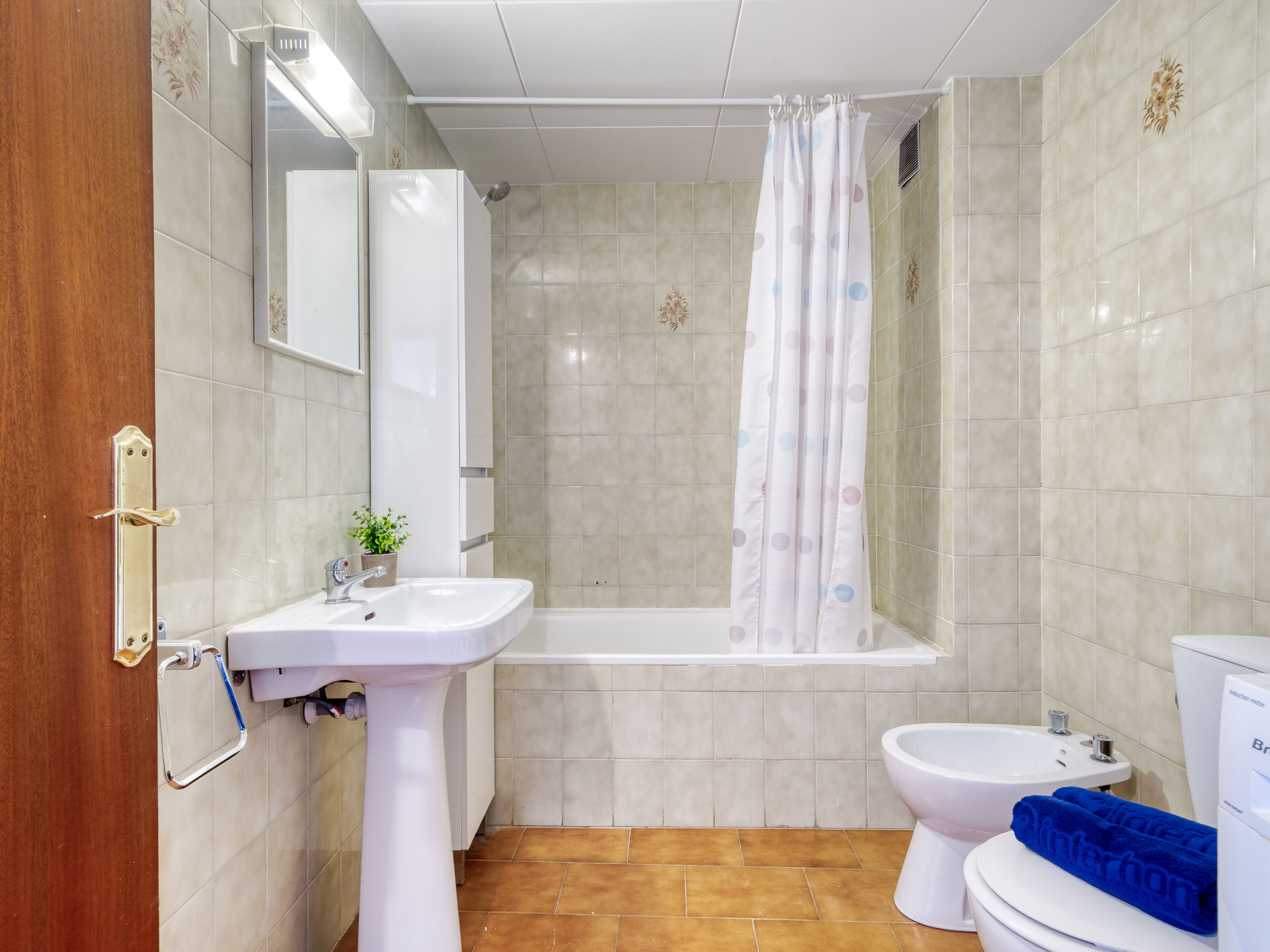 Photo of Centro peatonal Roses