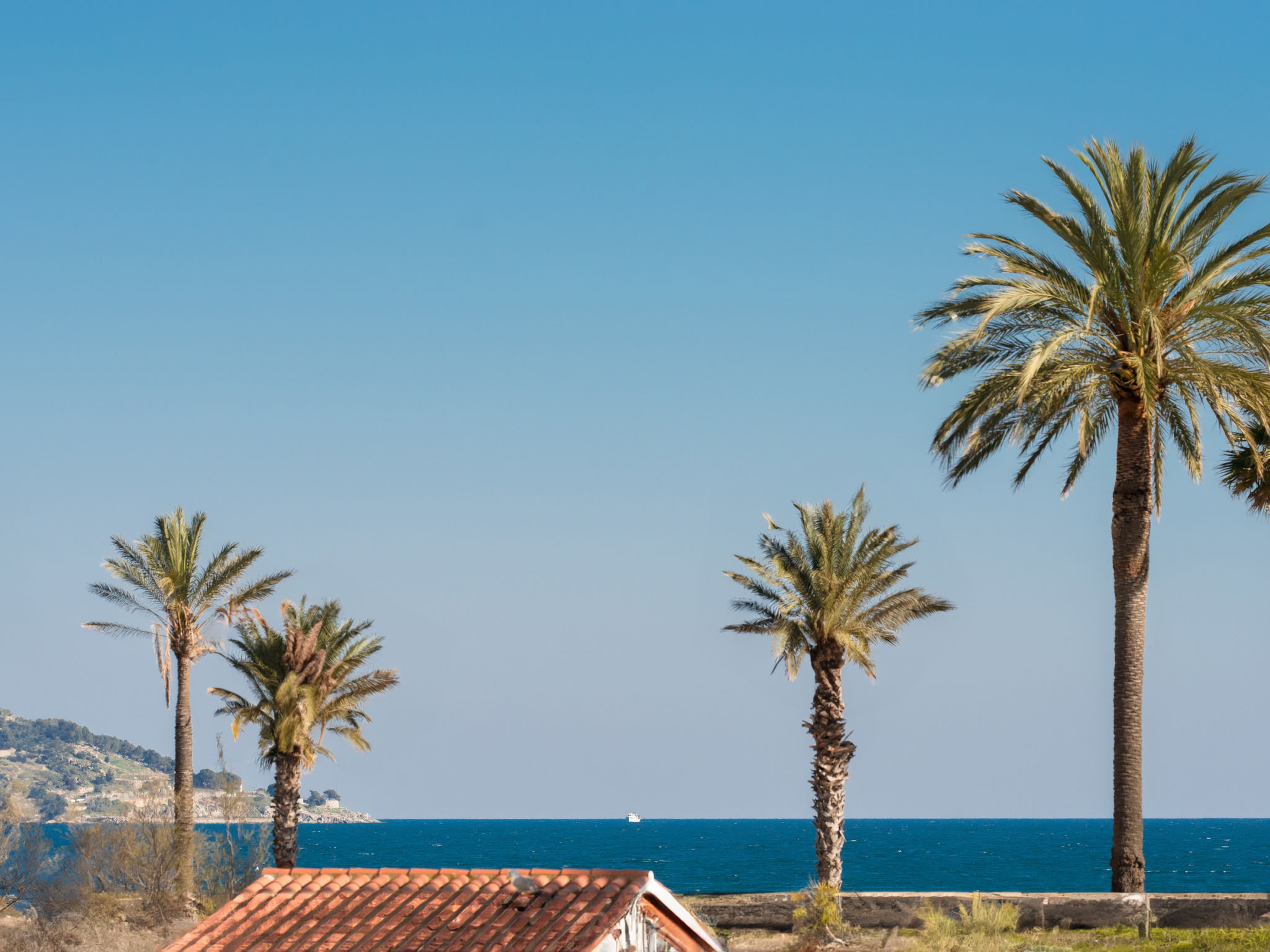 Photo of WELCS APARTAMENTO 224 EMP con TERRAZA