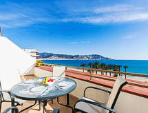 Roses Holiday Center