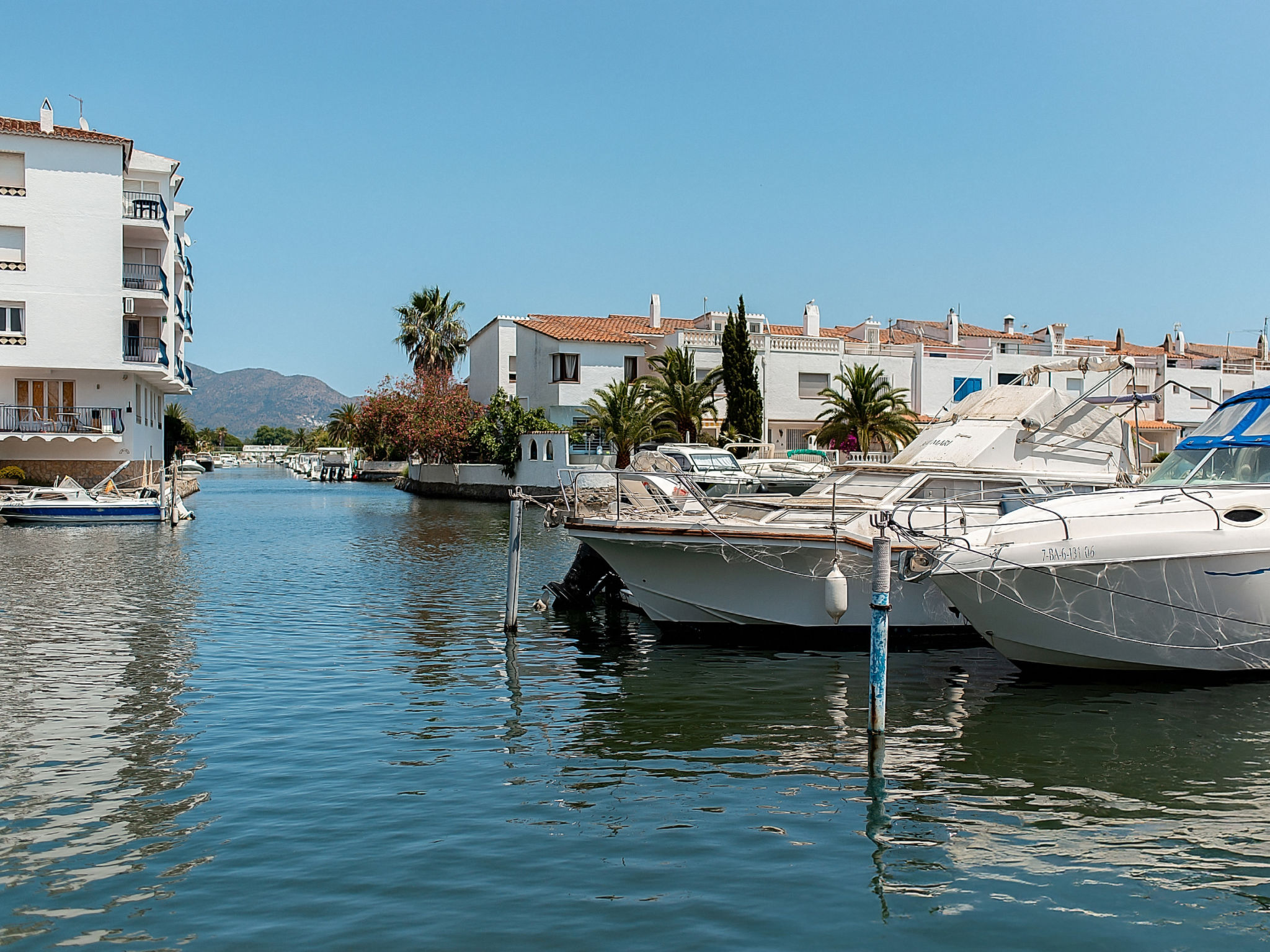 Photo of WELCS ESTUDIO 262 EMP en el centro