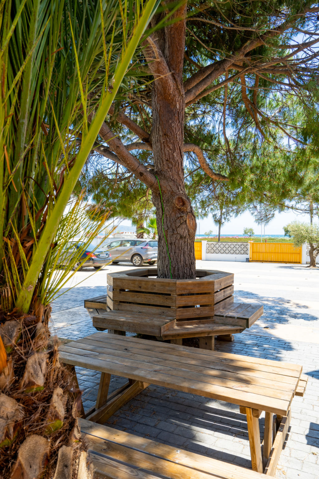 Photo of La Vida Sin Limites H EMP