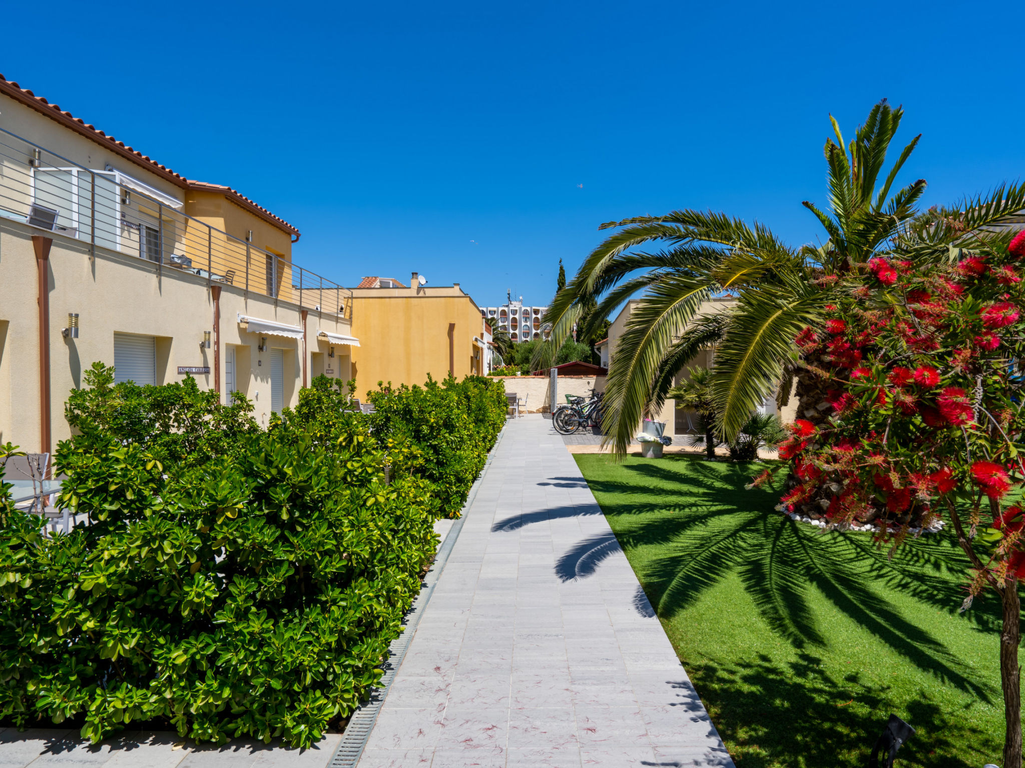 Photo of La Vida Sin Limites G EMP