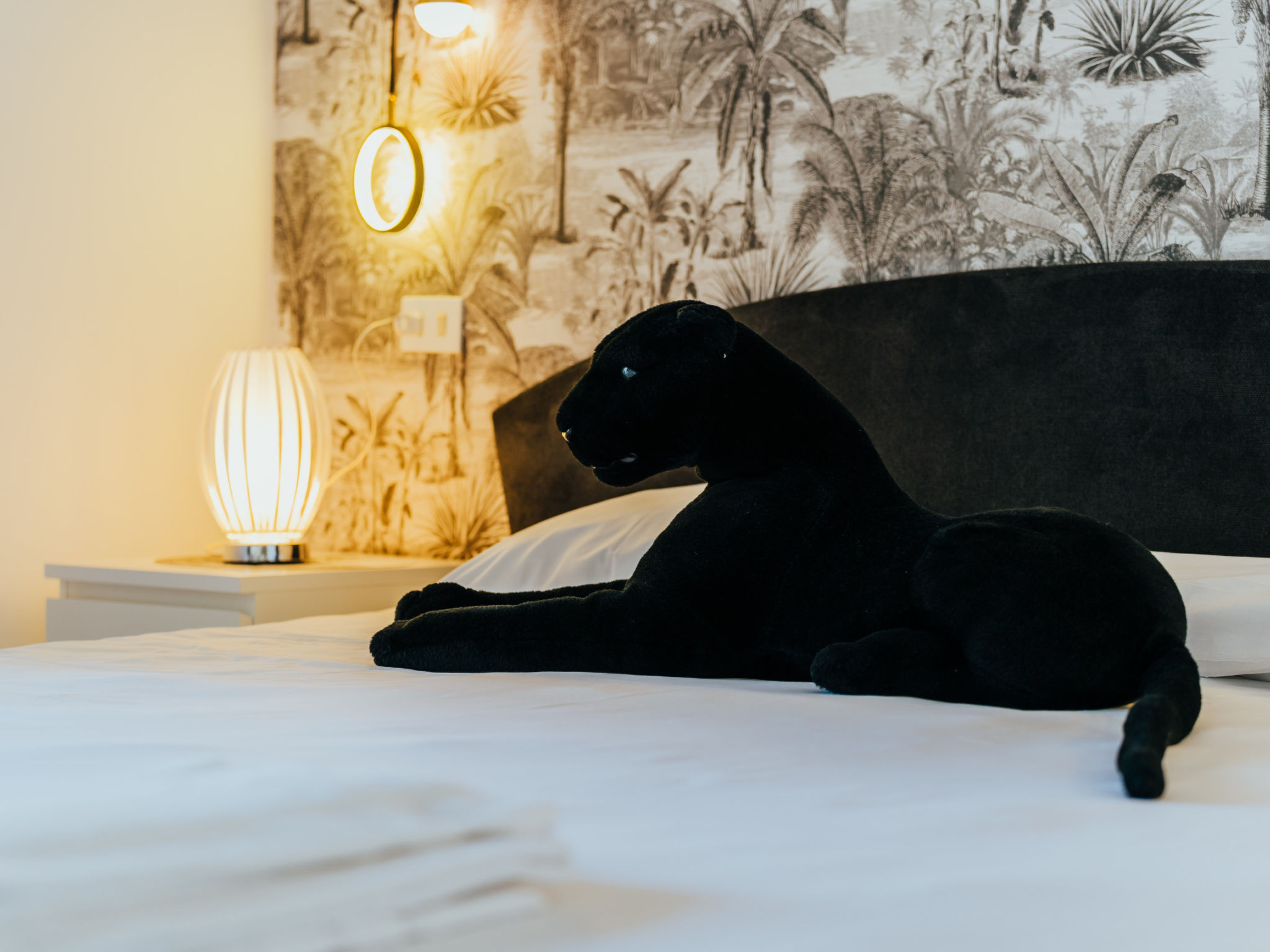 Photo of WELCS DUPLEX 056 EMP frente el Mar