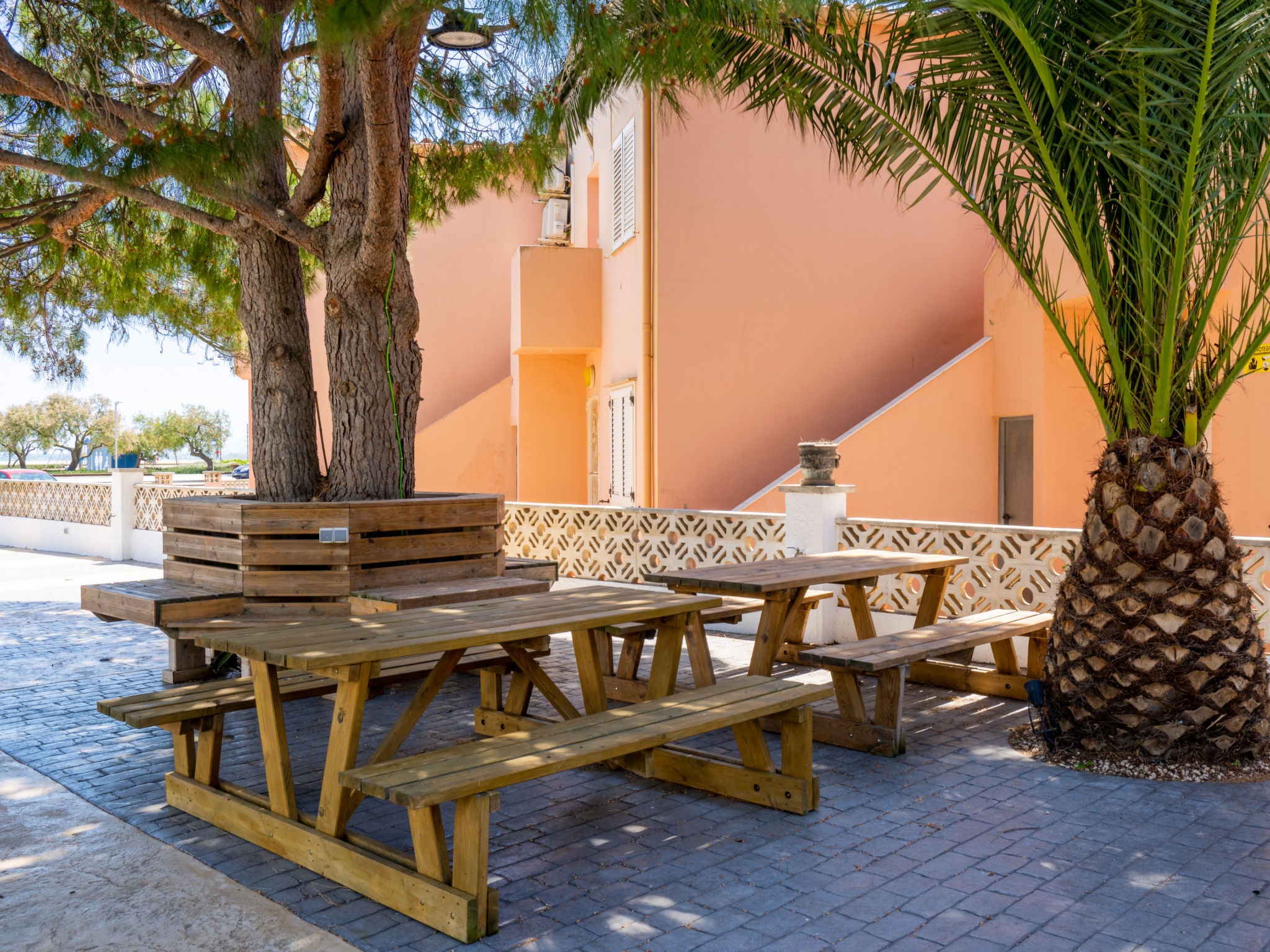 Photo of La Vida Sin Limites F  EMP