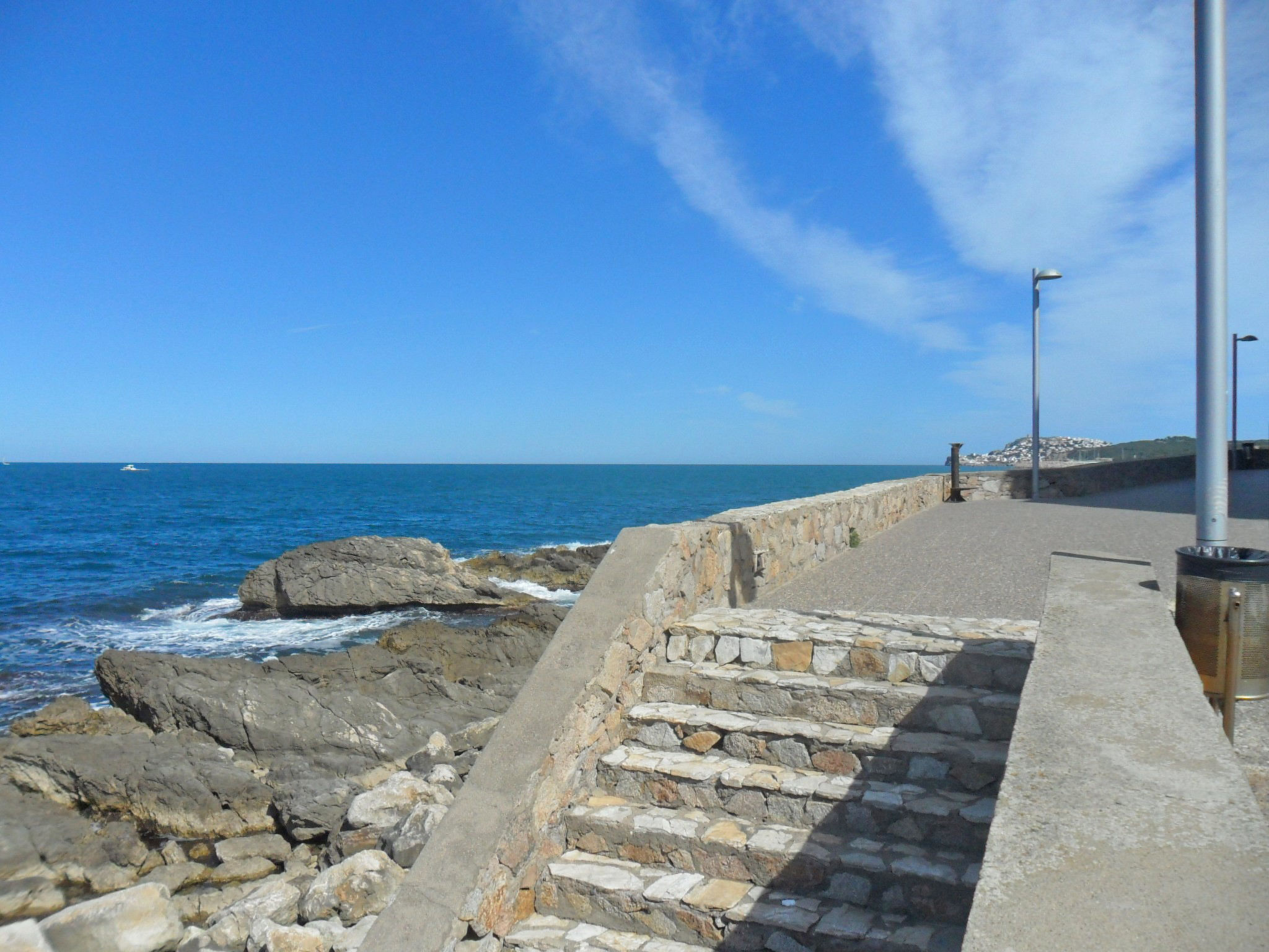Photo of Albatros
