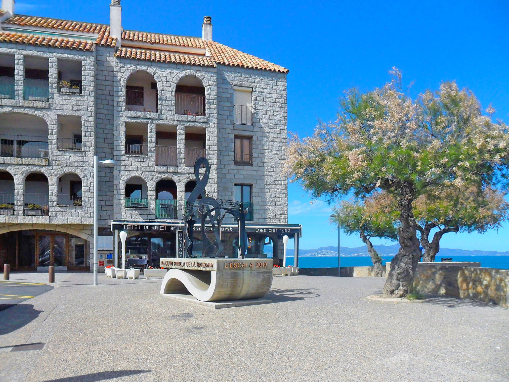Photo of Albatros