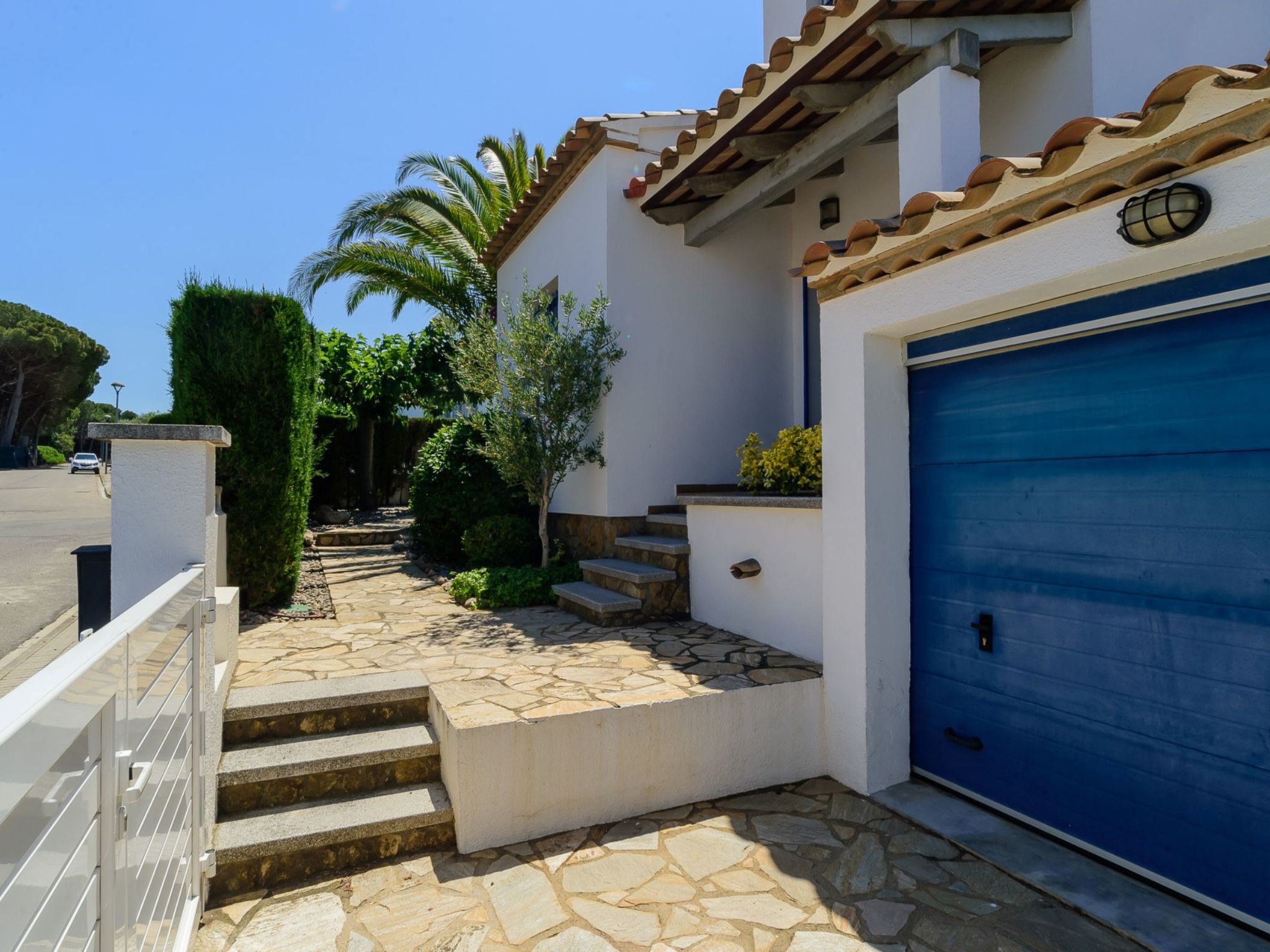 Photo of 1270836 Briu