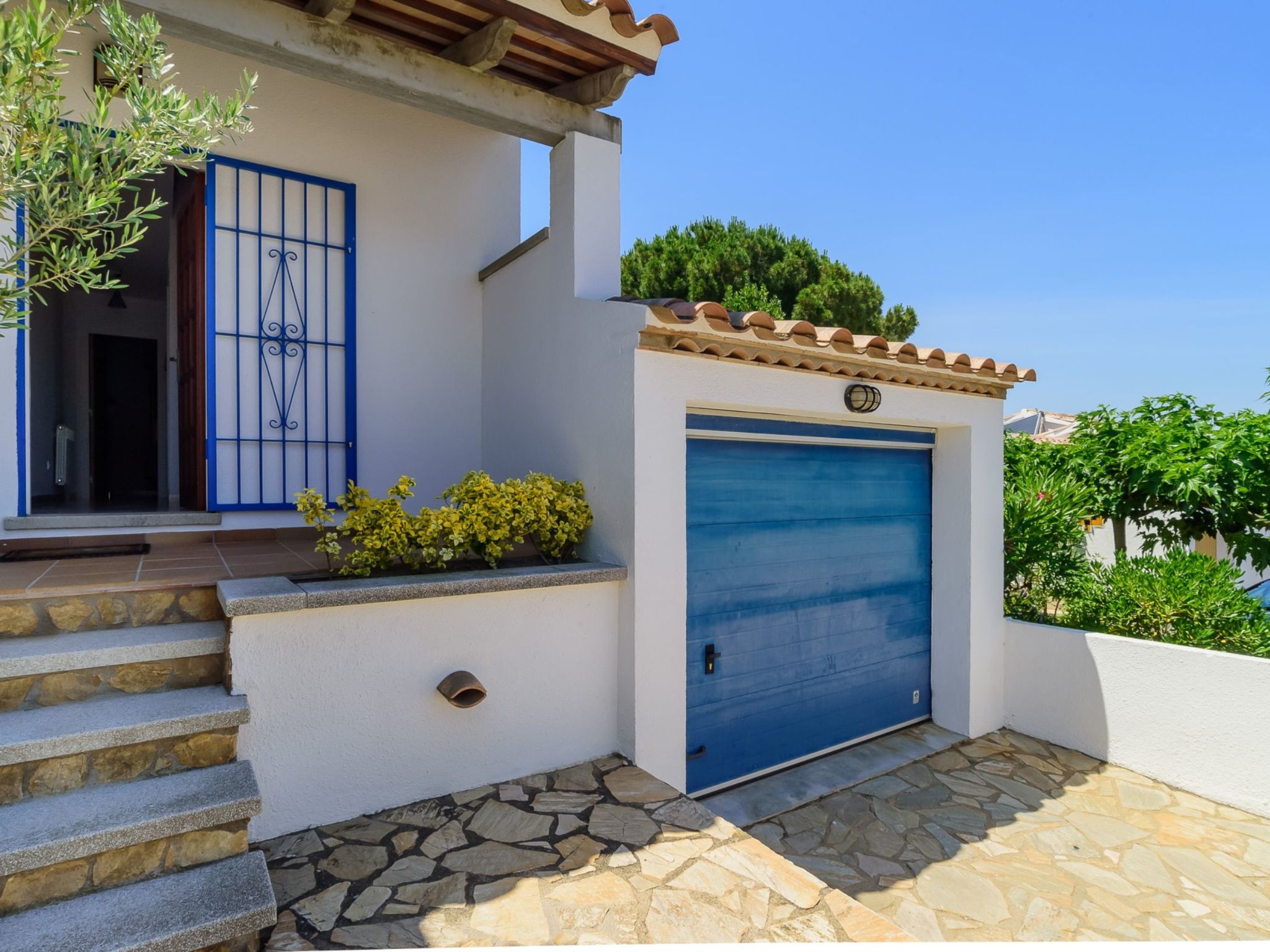 Photo of 1270836 Briu