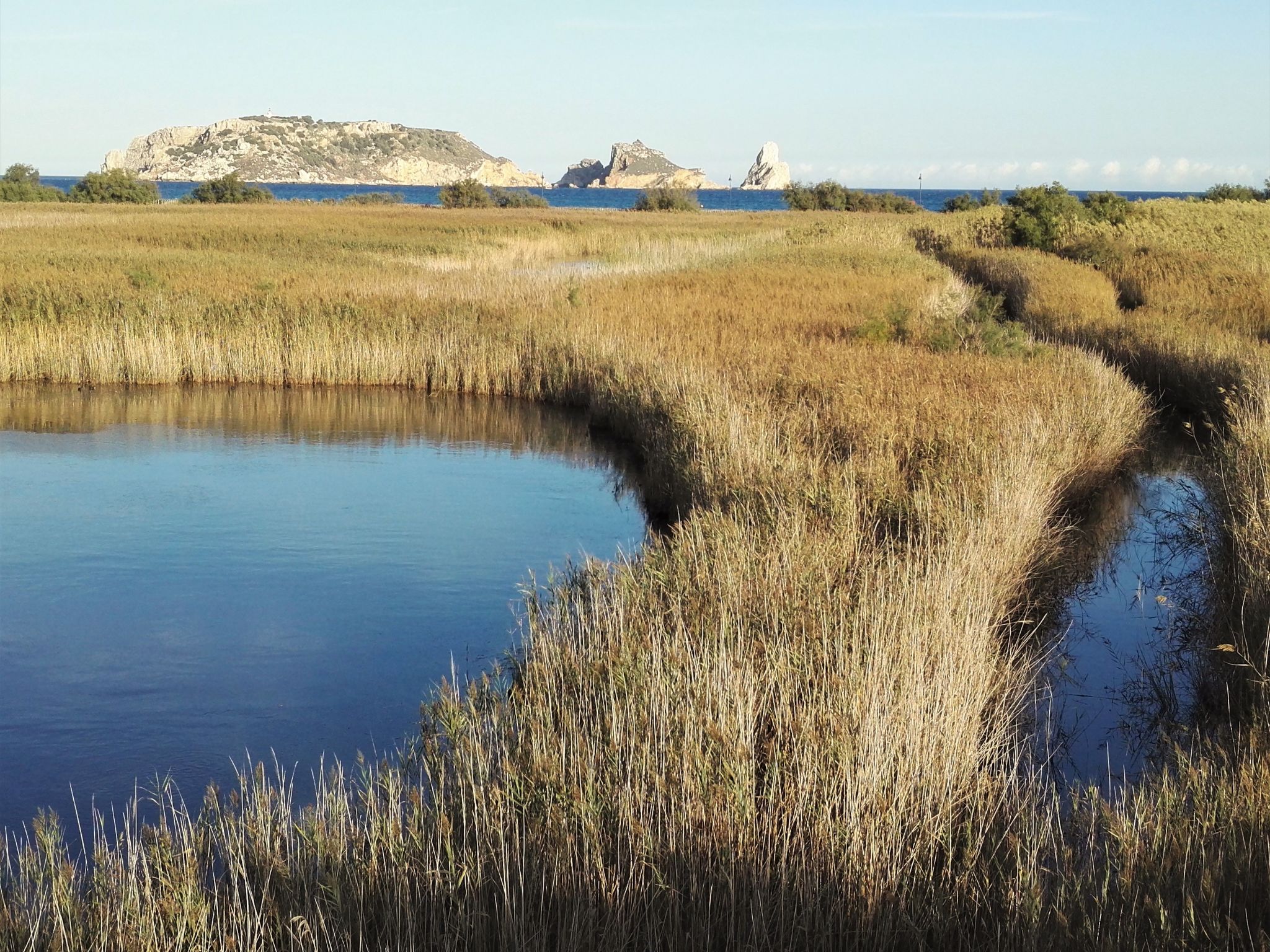 Photo of Sunnesching