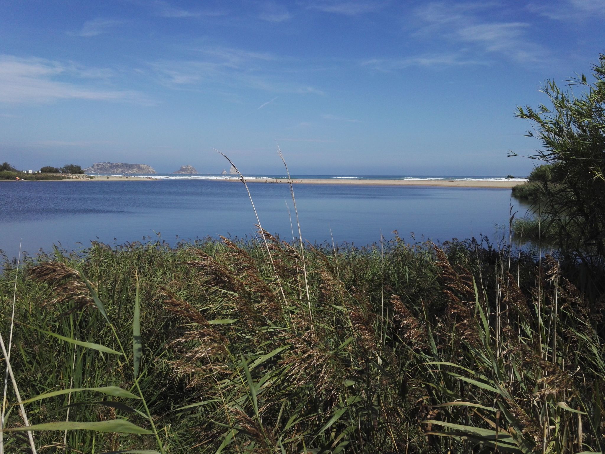 Photo of Sunnesching