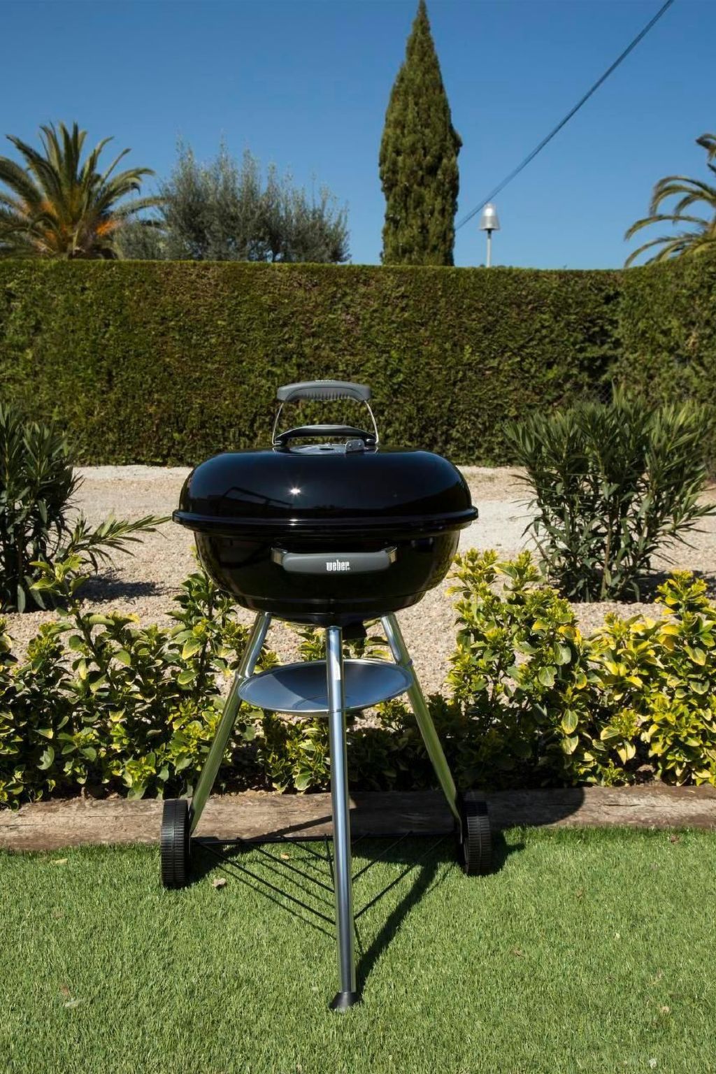 Photo of Ressagosa in L'Estartit